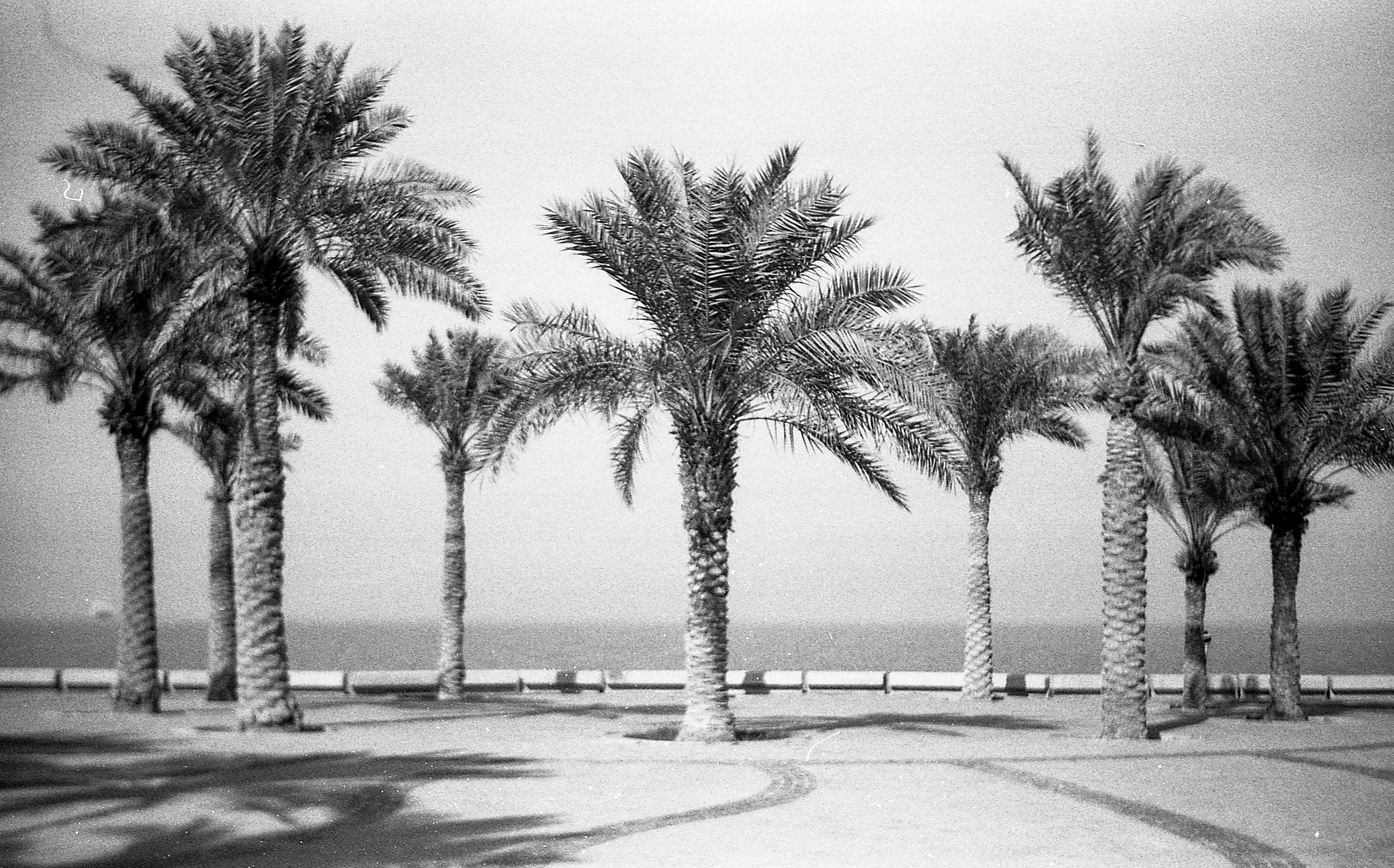 Salmiya (35mm)