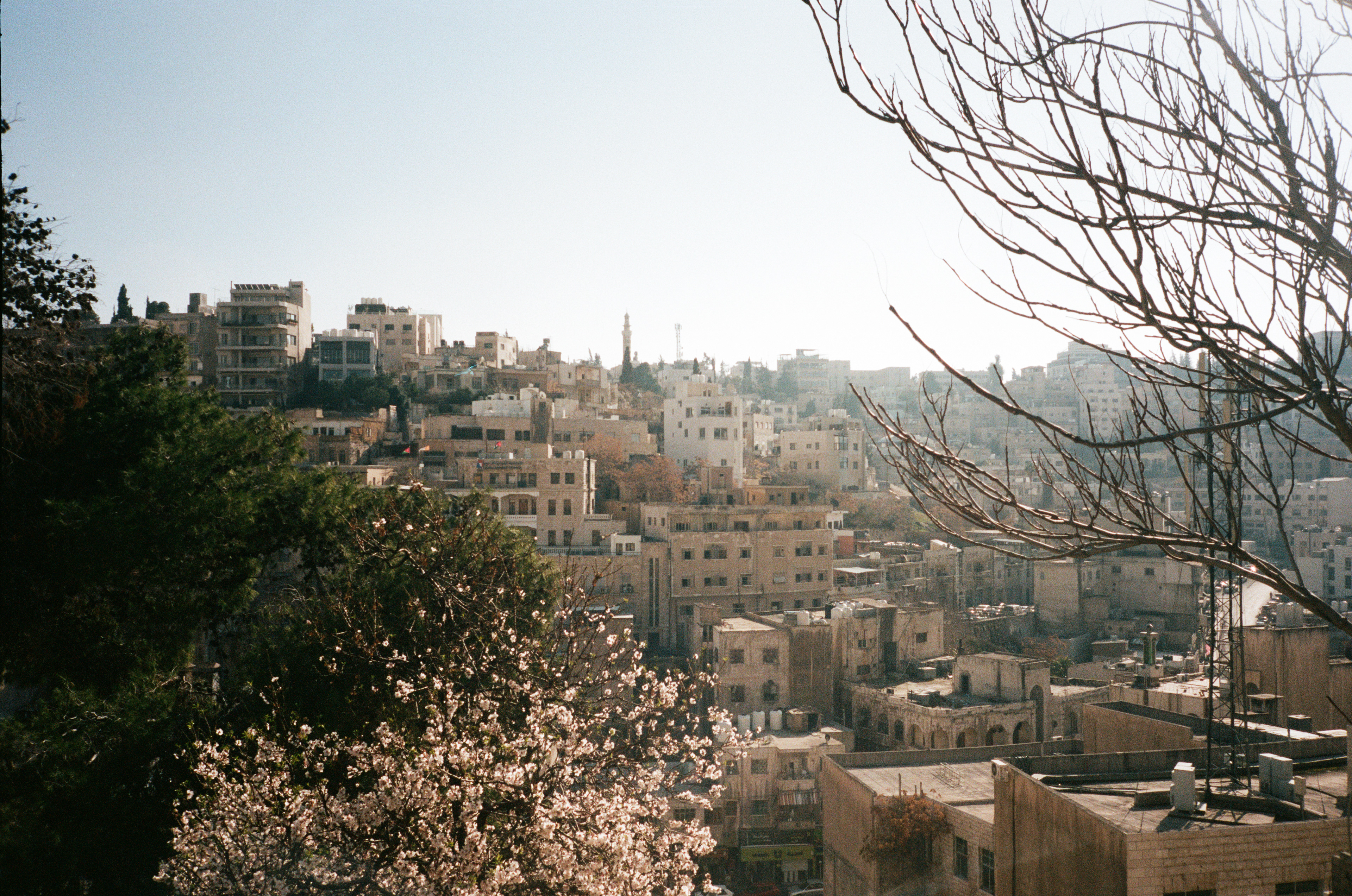 Amman (35mm)