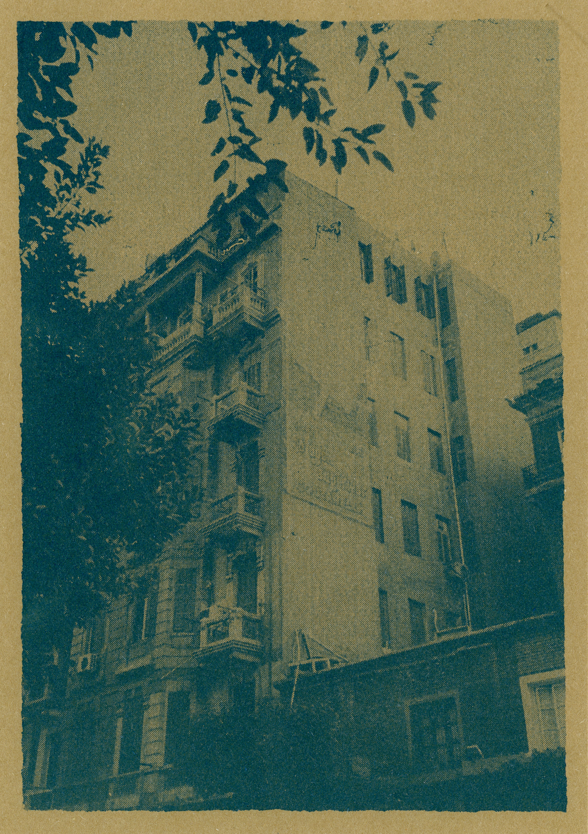 Cyanotype on Paper (Digital Negative)