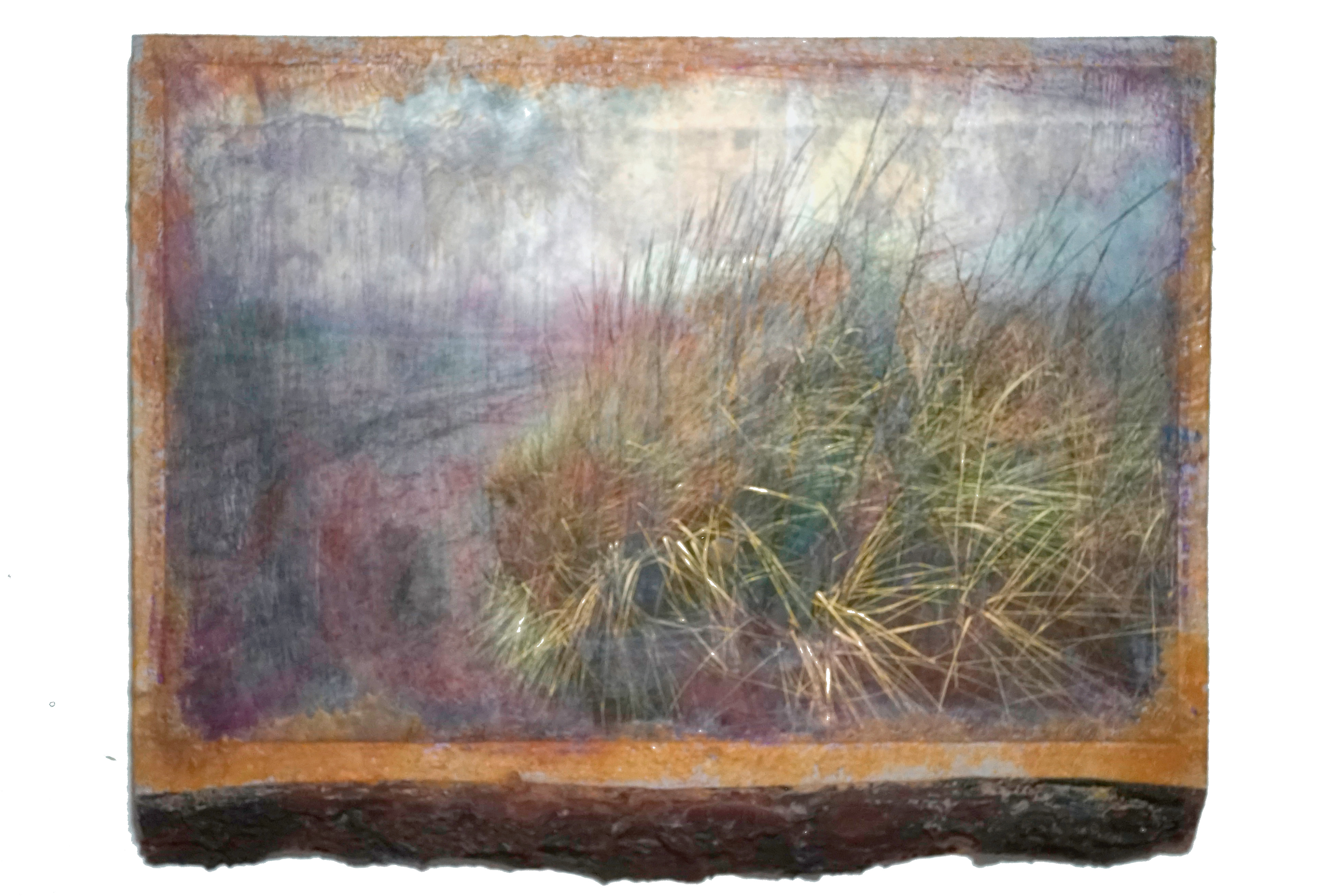 dune grass 10