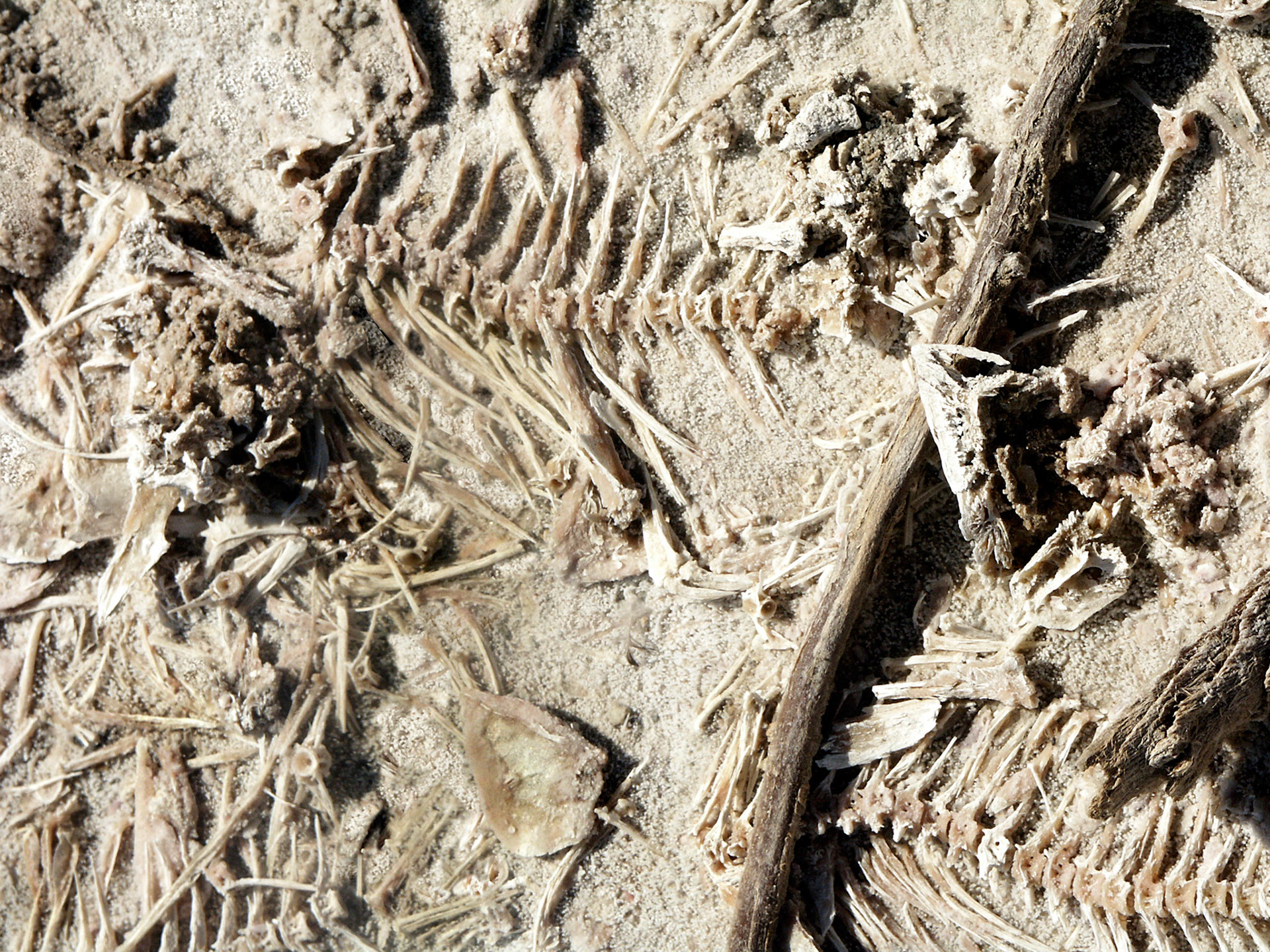 the dead sea scrolls 9