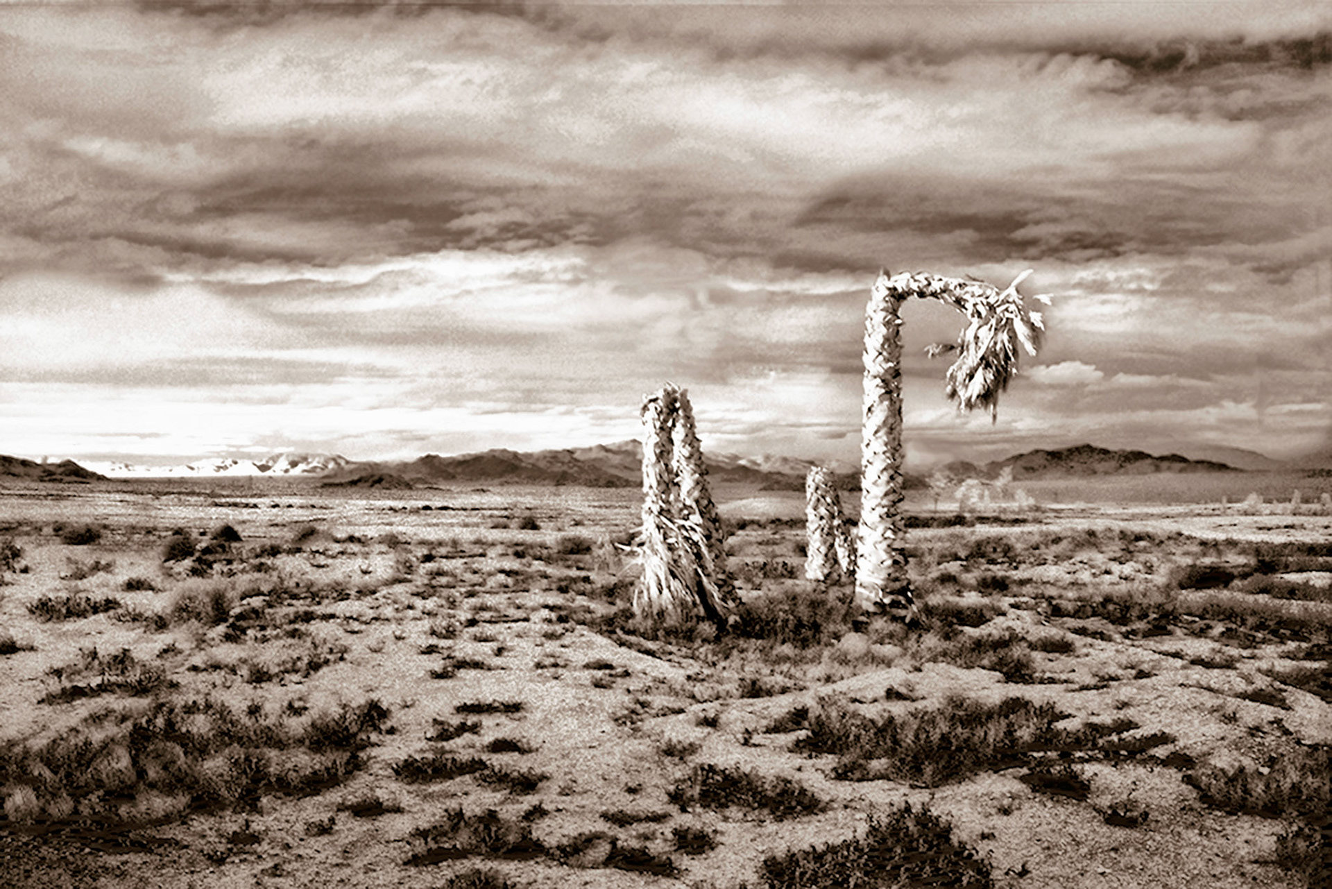 a death in the desert 3