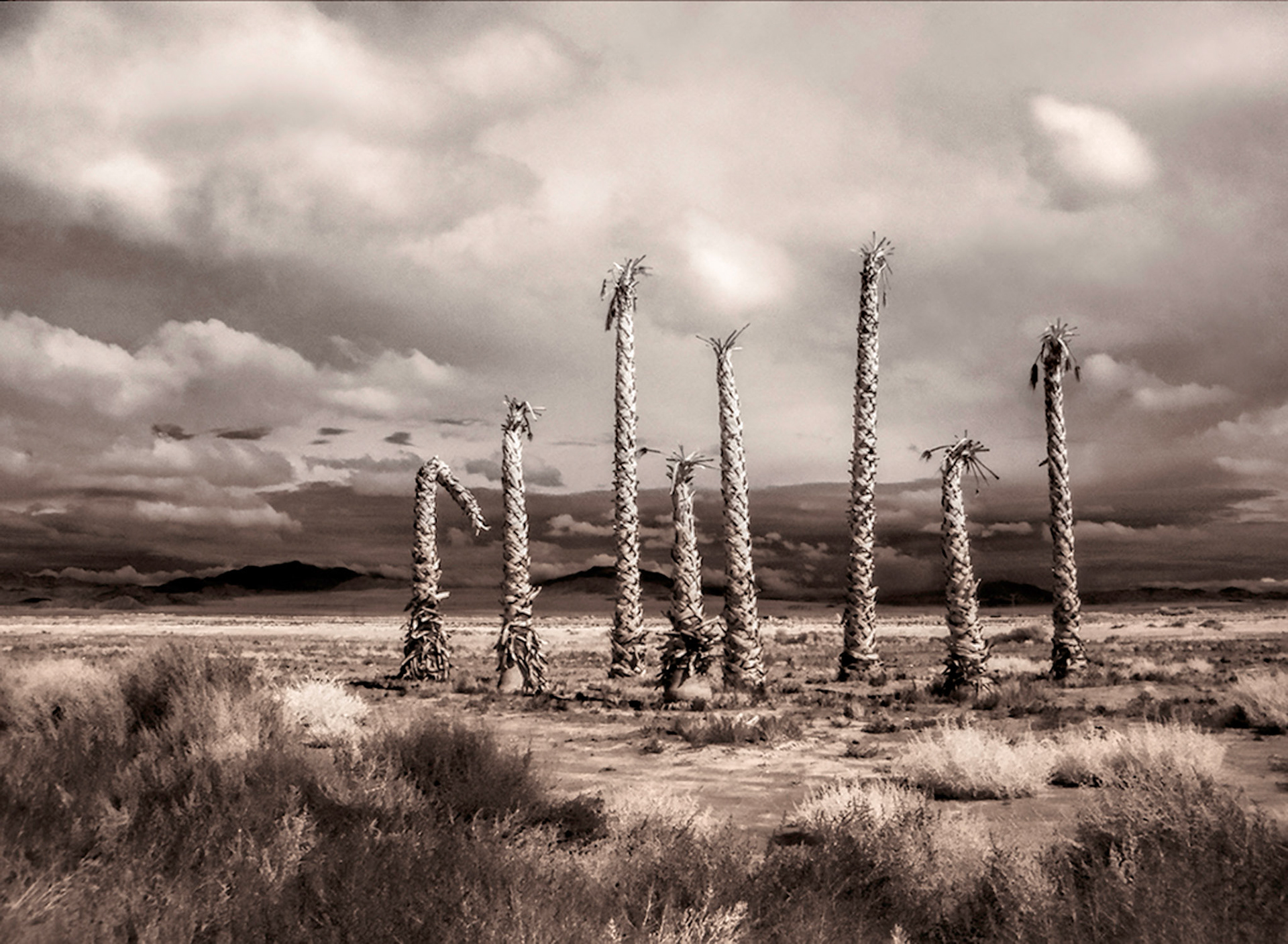 a death in the desert 2