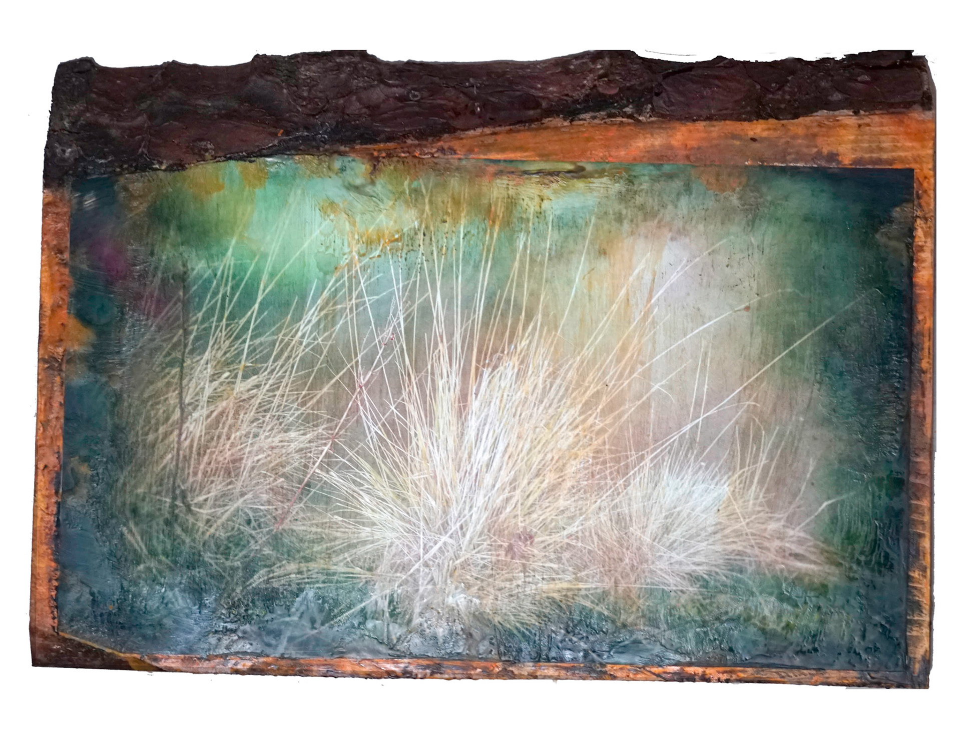 dune grass 9