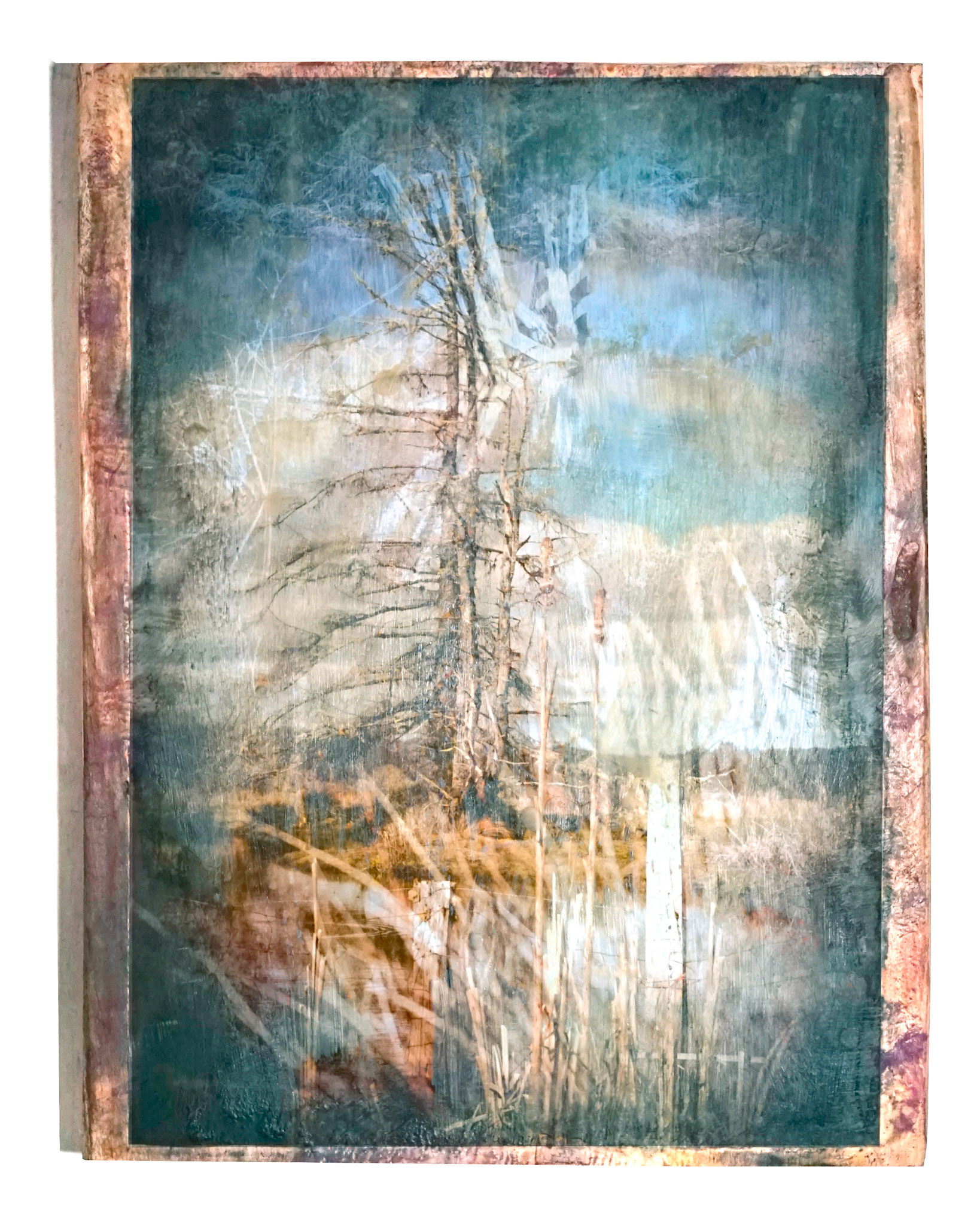 dune grass 5