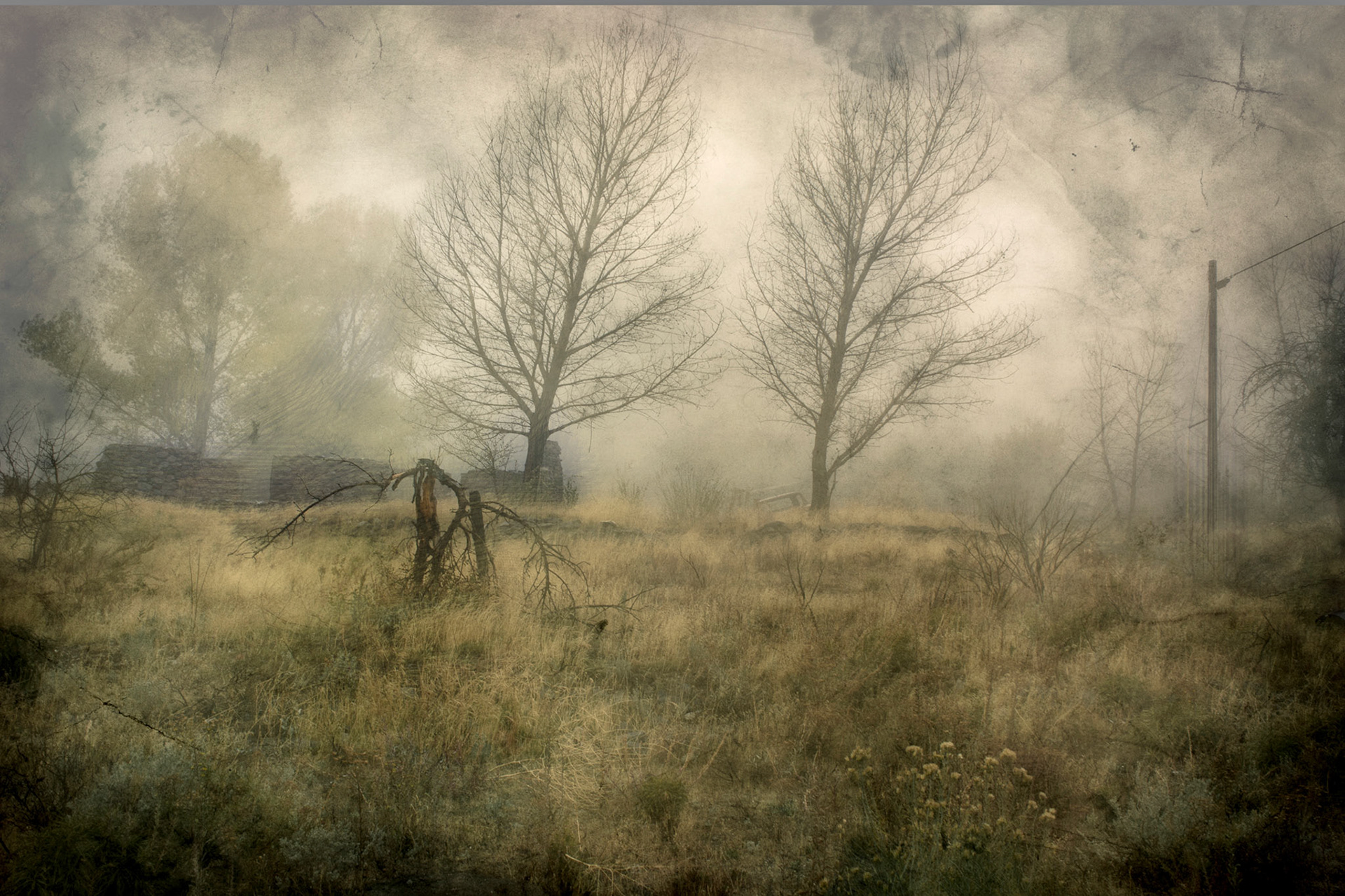 the forsaken 1