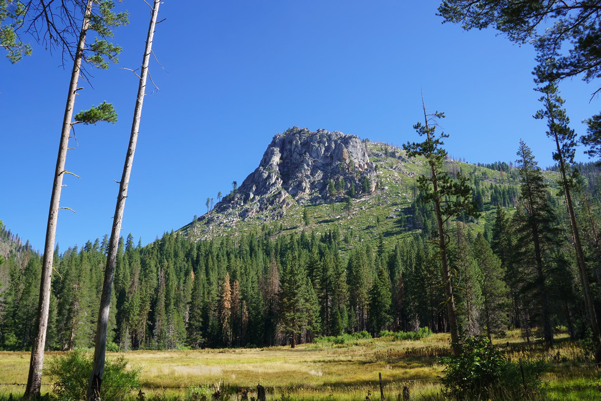 The Iceberg and Iceberg Meadow