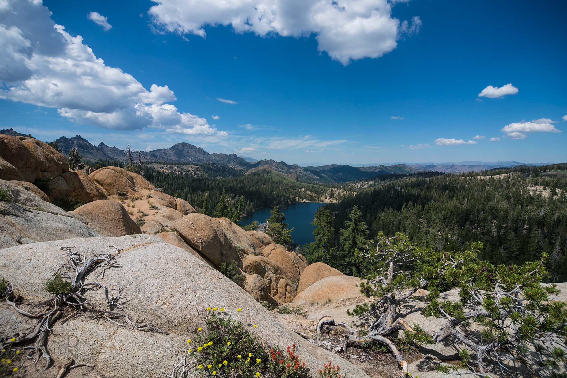 Kinney Reservoir, Ebbetts Pass