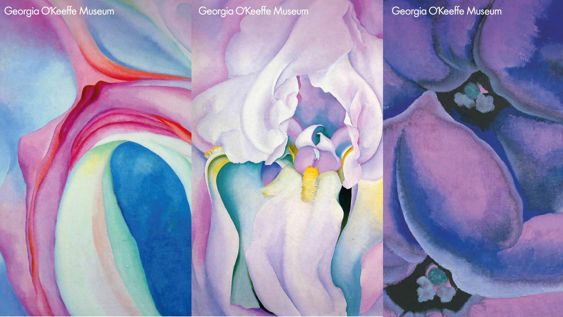 Ian Perkins Graphic Art - Graphics: Georgia O'Keffee Museum Logo Design