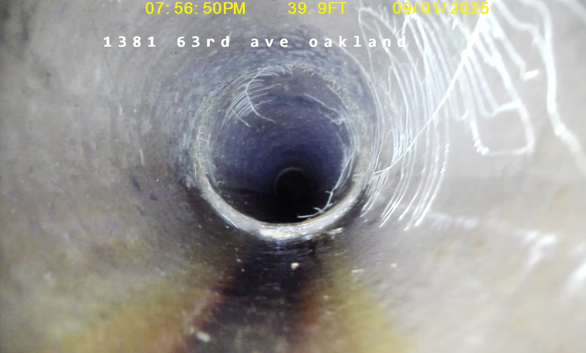 Roots found in joints of clay pipes 
