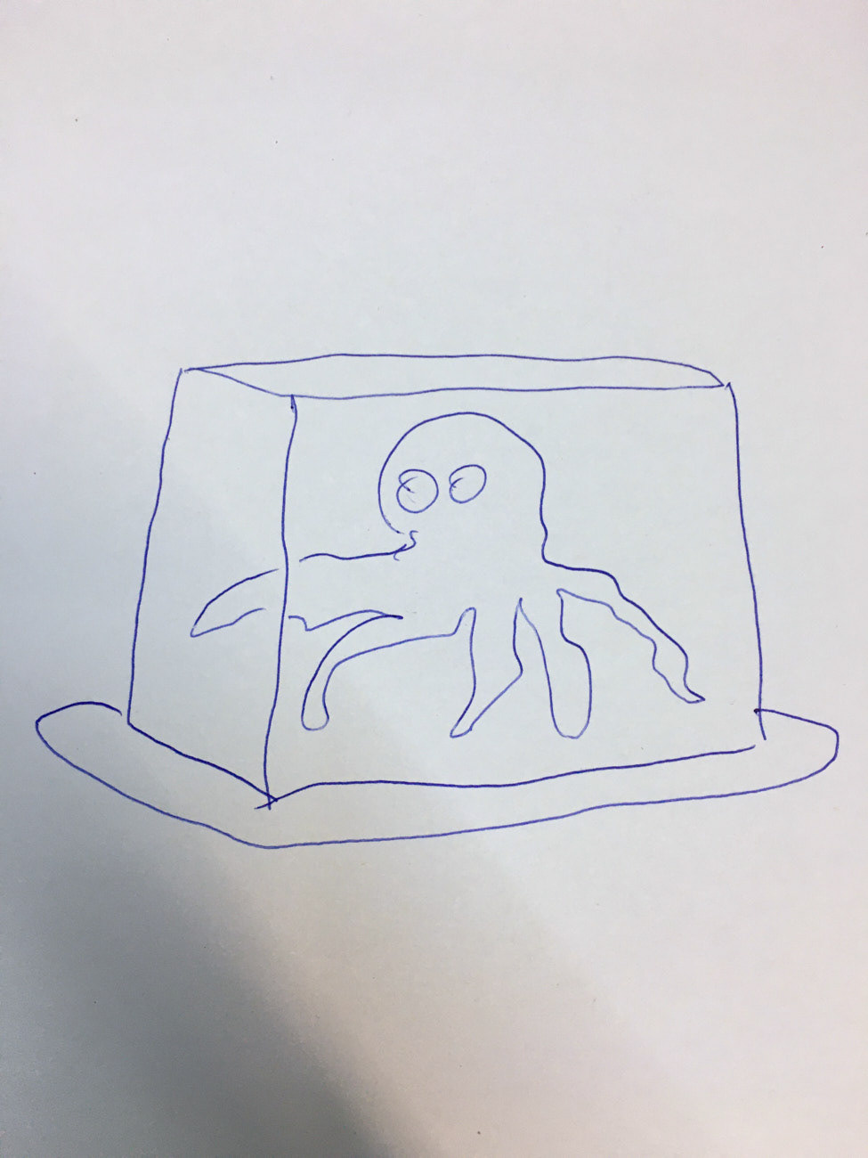 Vorzeichnung Octopus