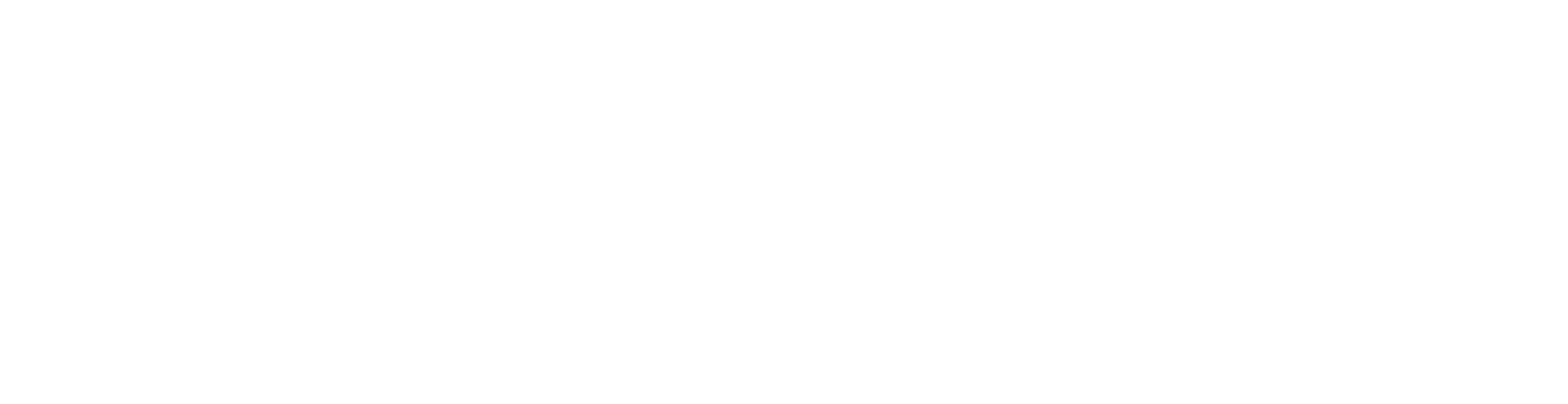 Bad Rabbit Societe
