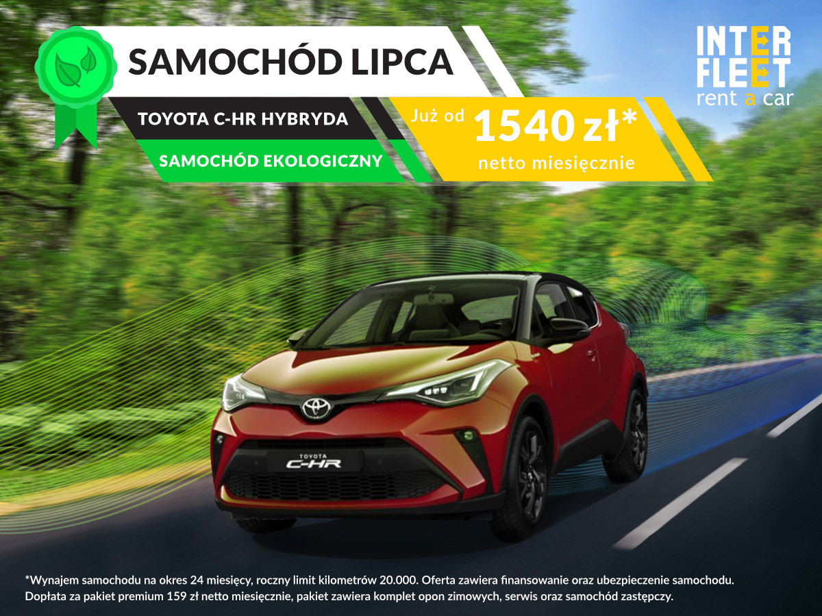 Graphic designed for "Inter Fleet," specializing in car rentals.