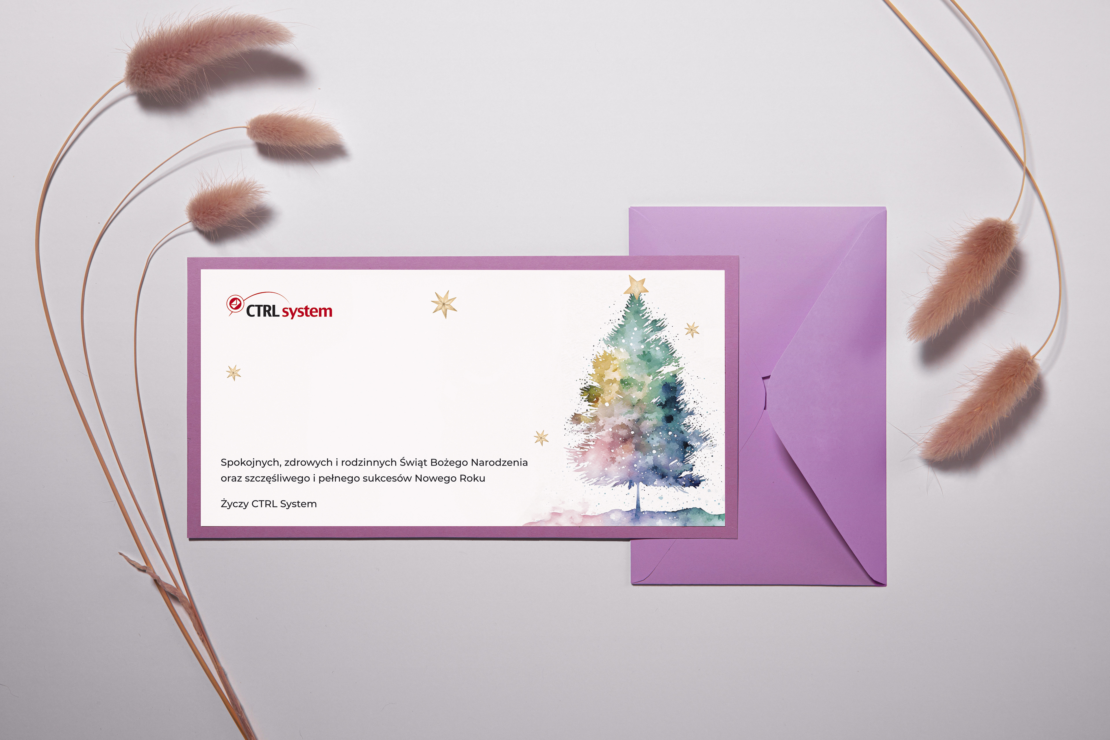 Season's greetings for "CTRL System" company.