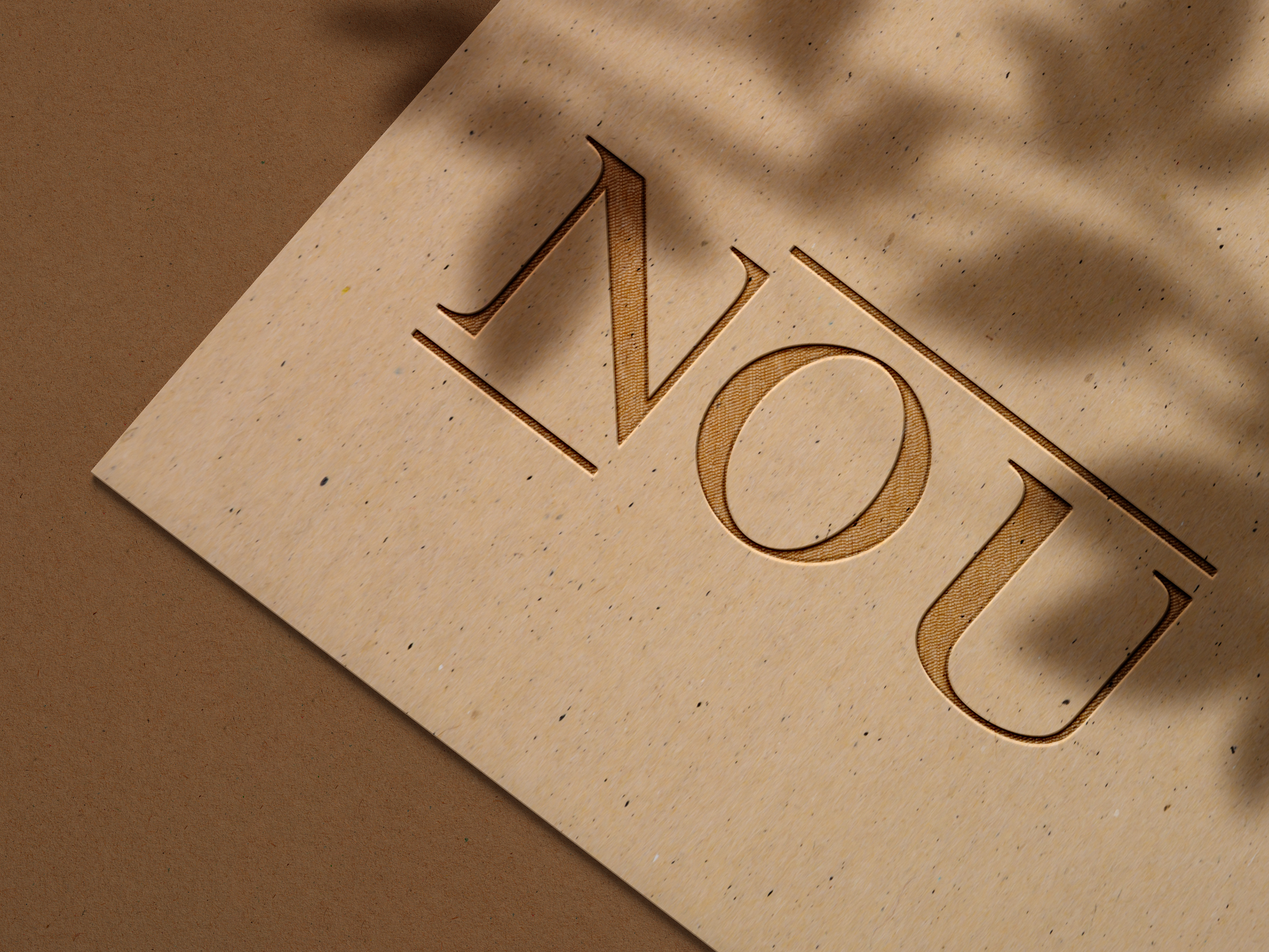 Logo designed for the company "NOU" during collaboration with Vidoq agency.