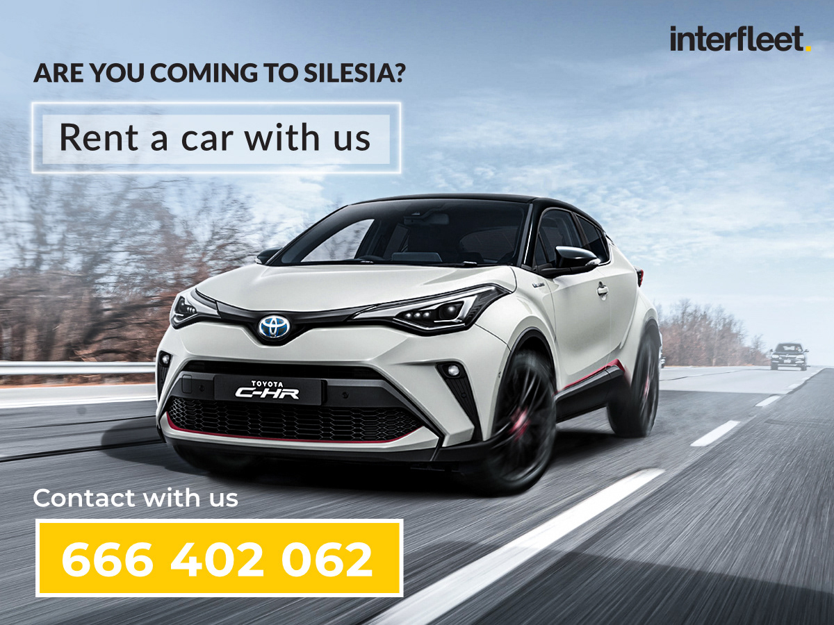 Graphic designed for "Inter Fleet," specializing in car rentals.