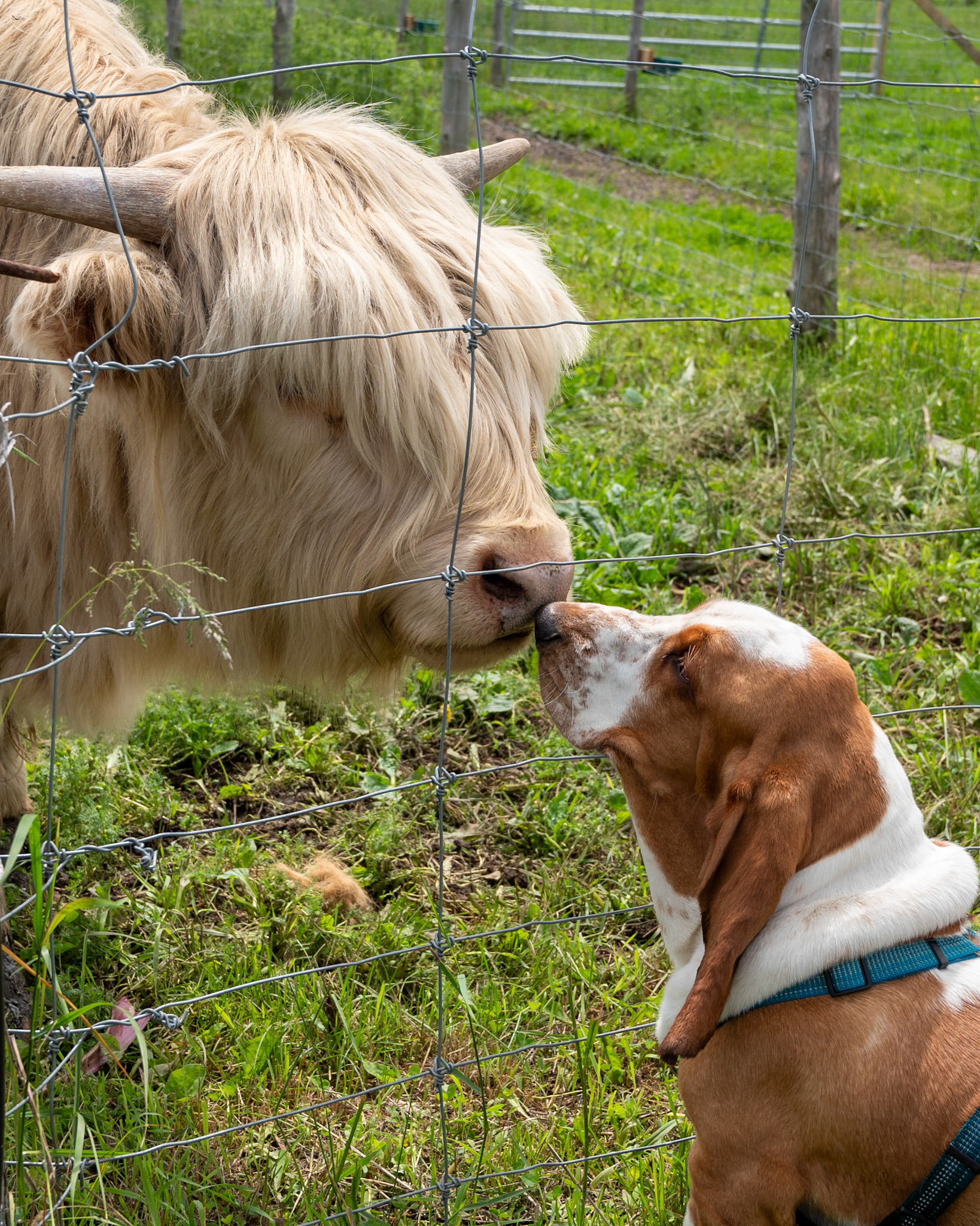 Arthur et son nouvel ami