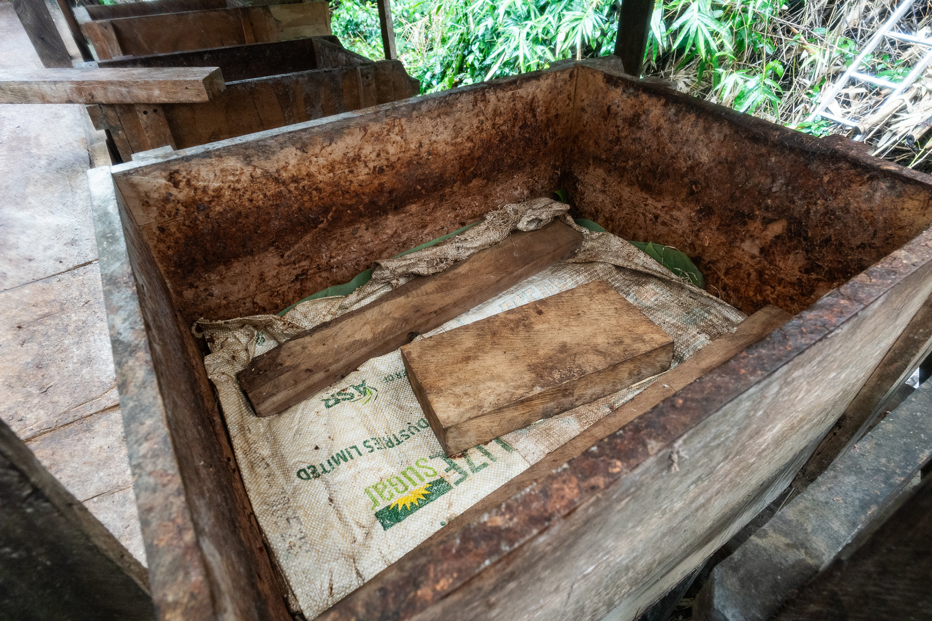 Cacao beans are put in wooden boxes to ferment for six days