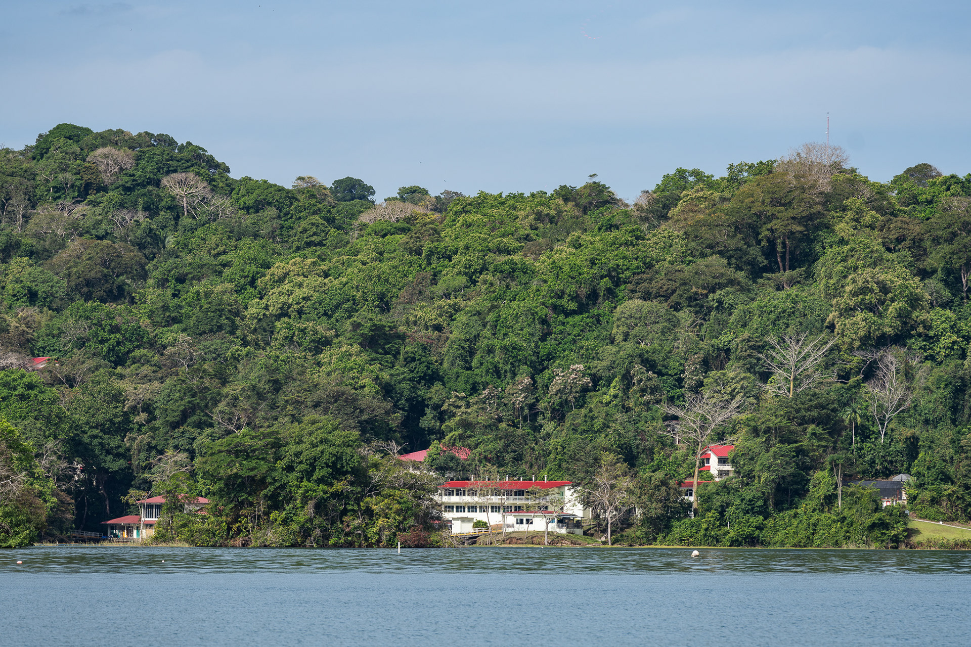 The Smithsonian Research Institution on Barro Colorado Island, formed during the dredging of Gatun Lake