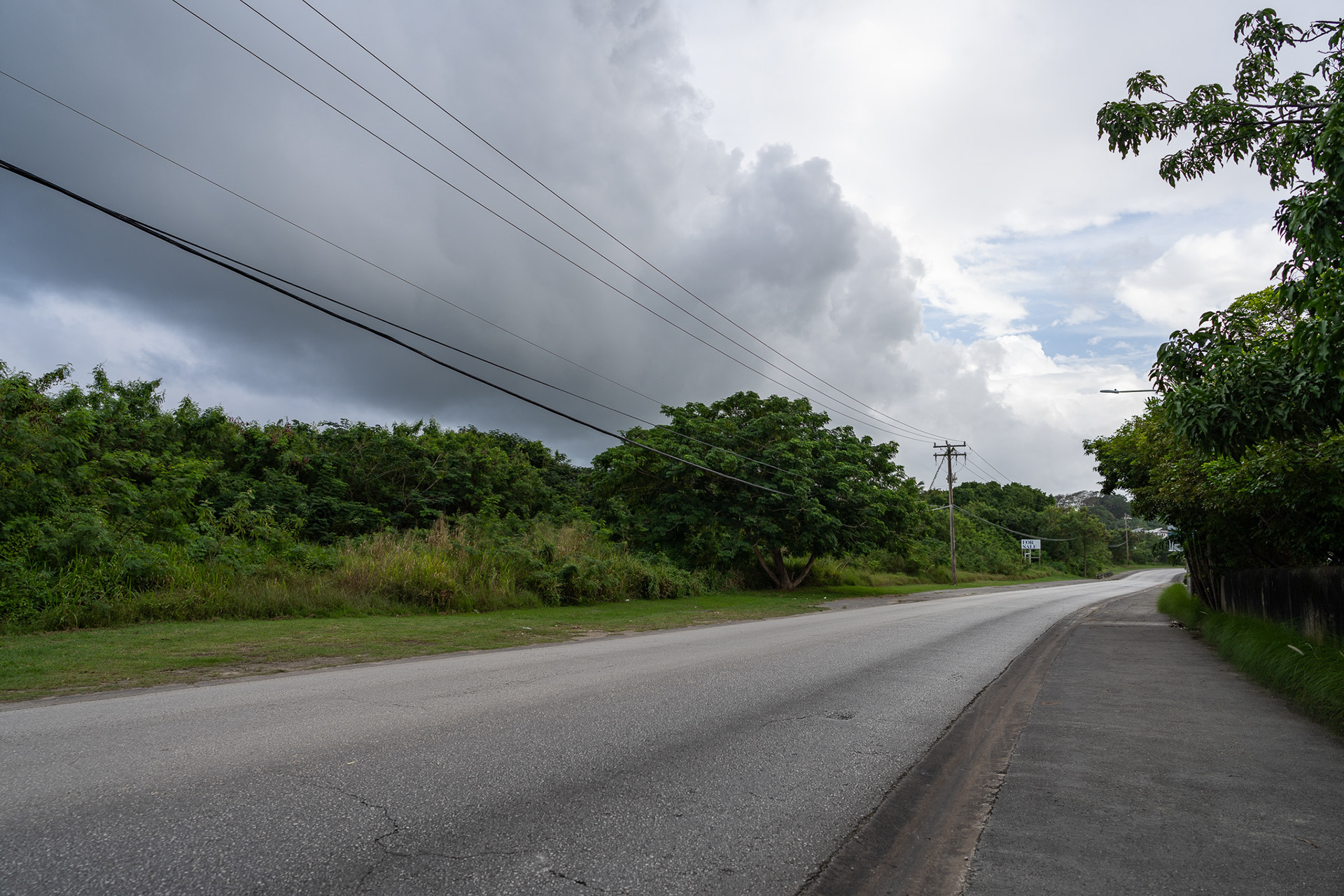 The surprisingly green scape of Barbados