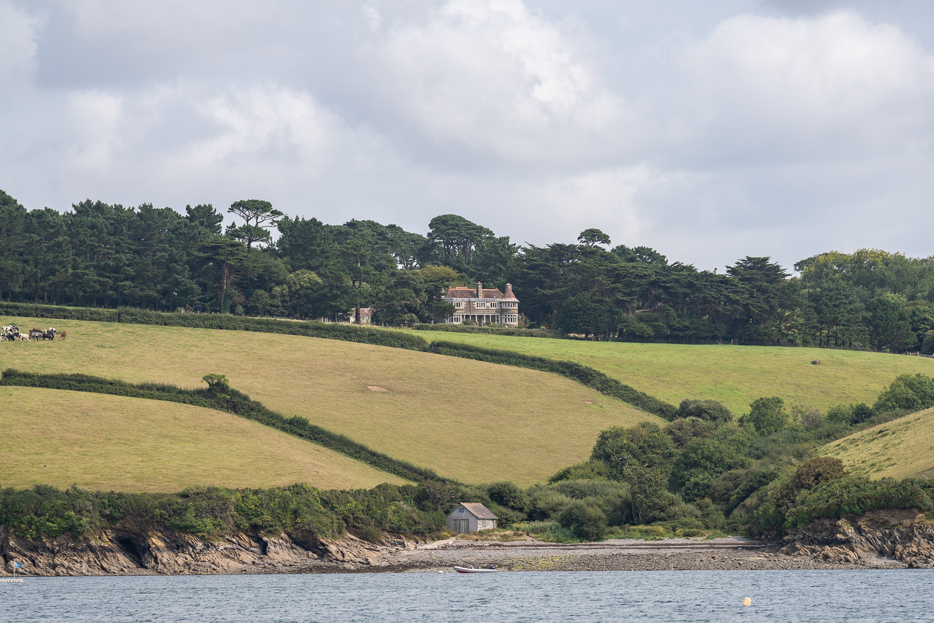 A quaint house sits atop rolling pastures where cows graze