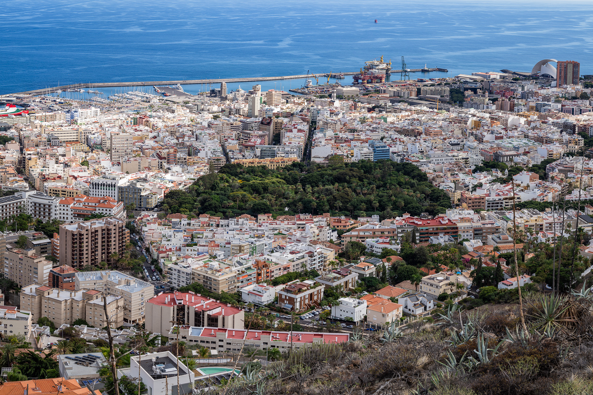 Santa Cruz de Tenerife, a bustling tourist city with a beautiful park in the center