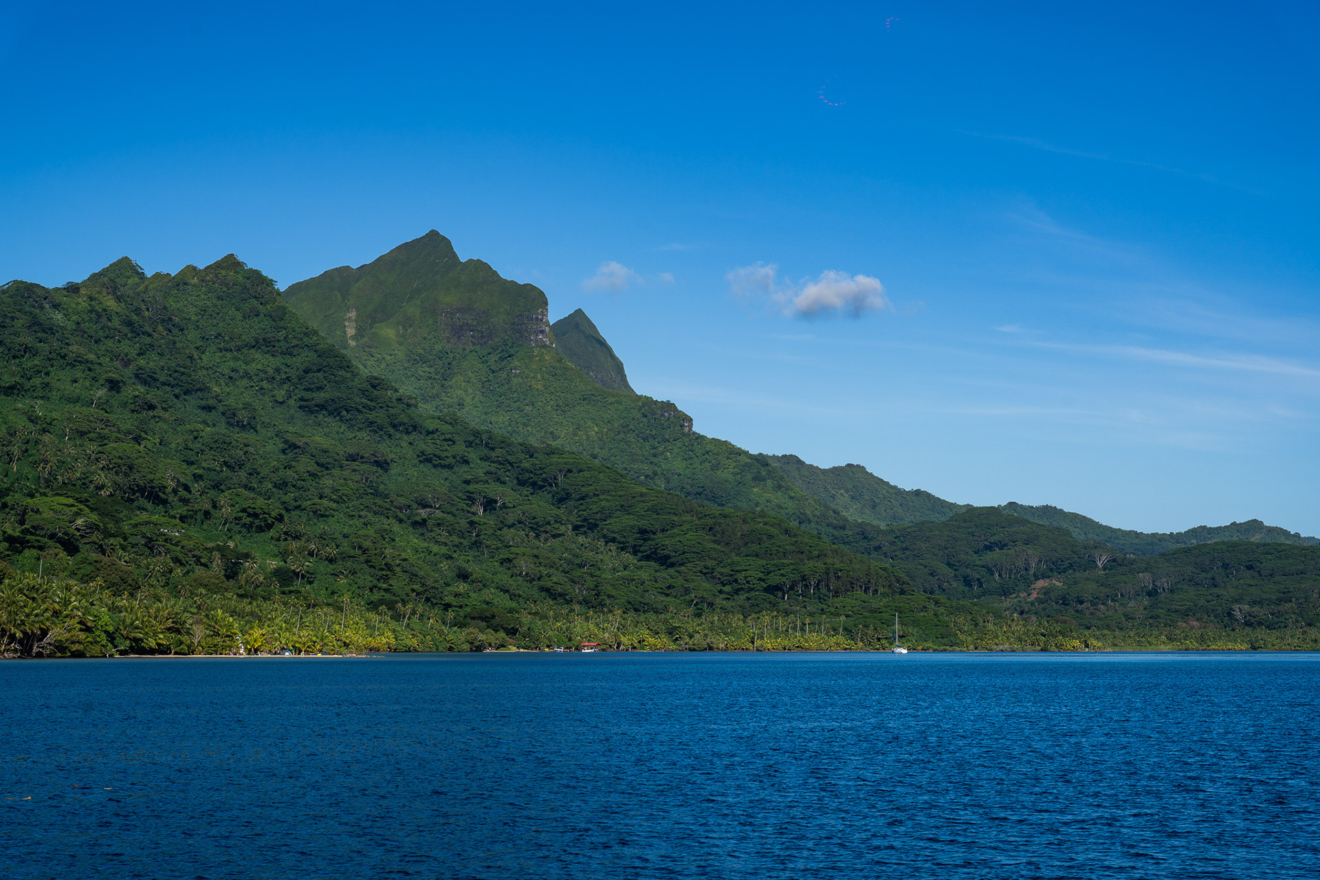 The lush greenscape of the island
