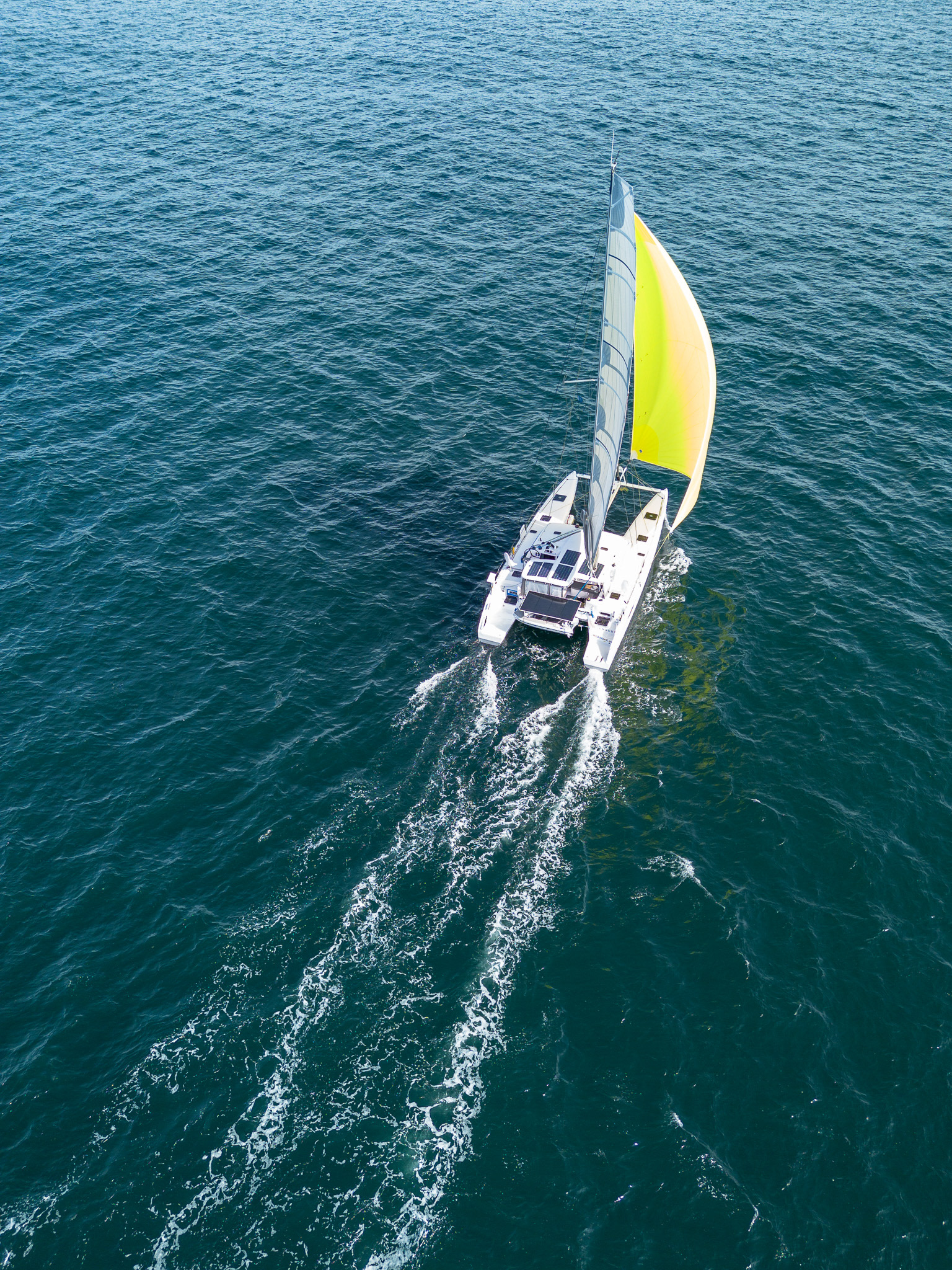 Stardust sails under code 5 on one of the best days of sailing I've personally ever had