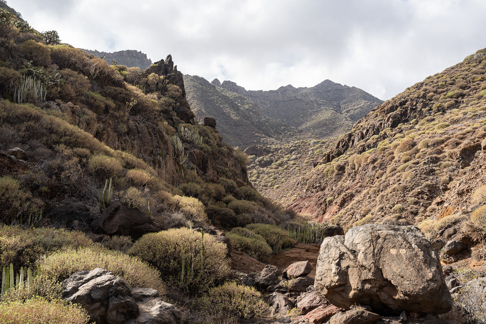 A winding valley along the north point of Tenerife