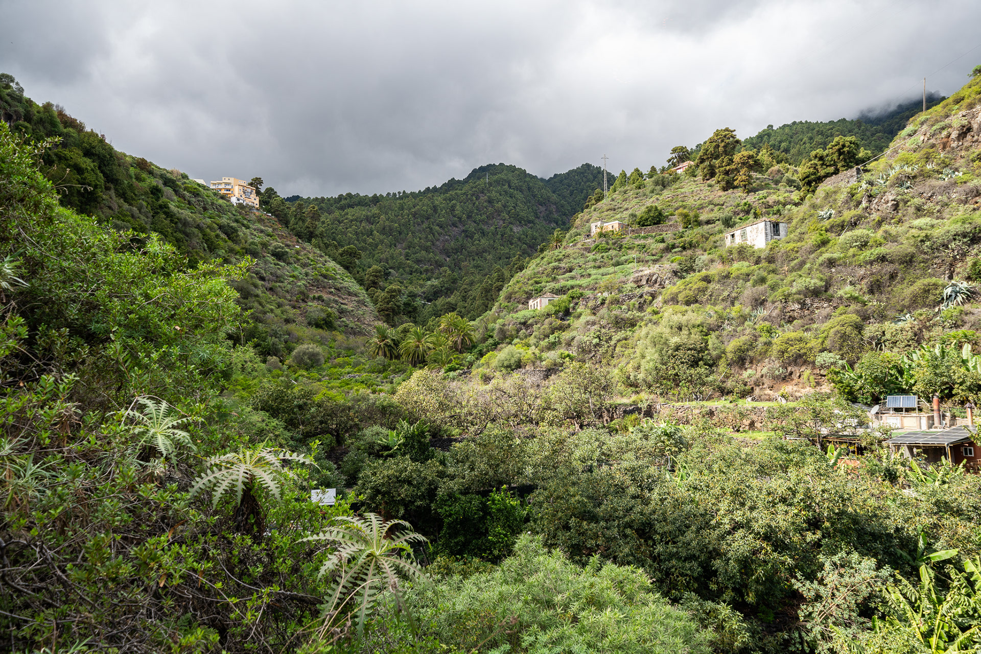 The deep and twisting valley of Barranco de la Nieve