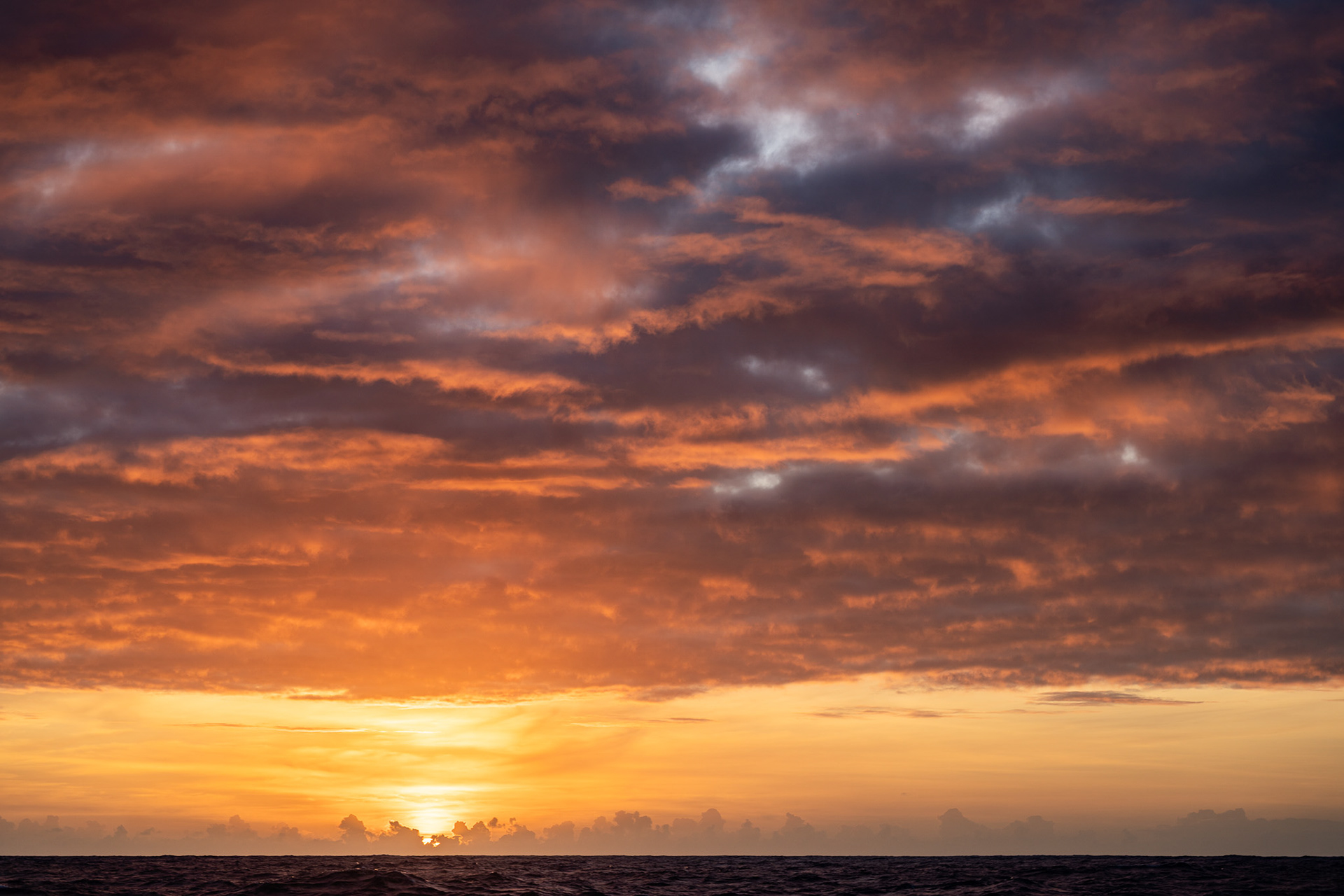 A golden orange sky
