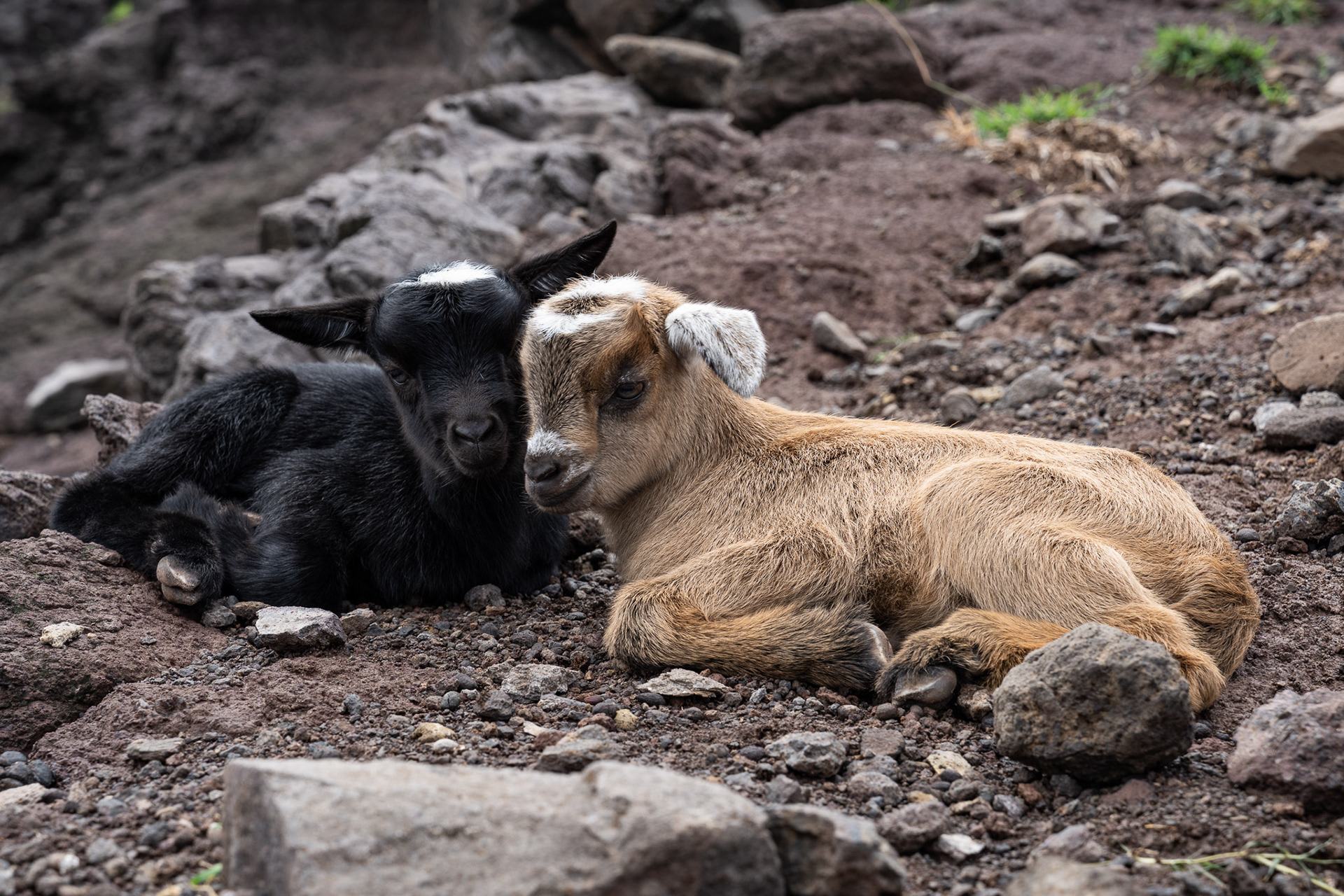 A pair of kids relaxing on the warm dark ground