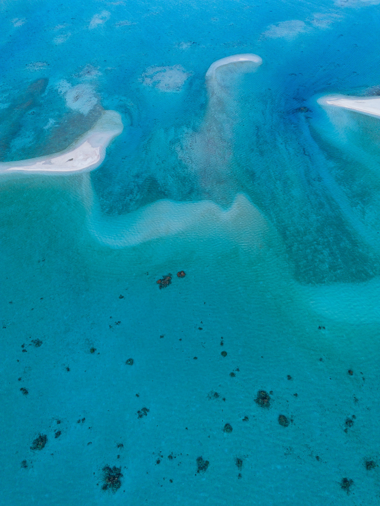Dark coral bommies pepper the sandy bottom
