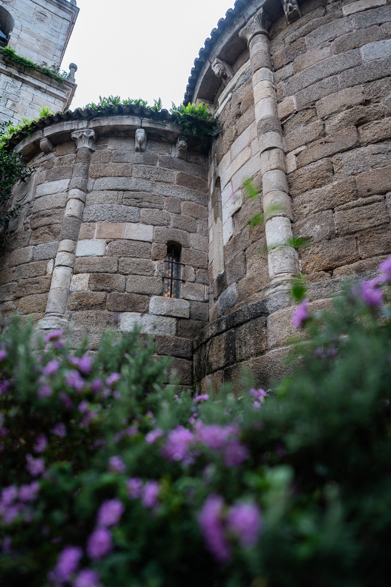 Flowers, greenery, and old stone