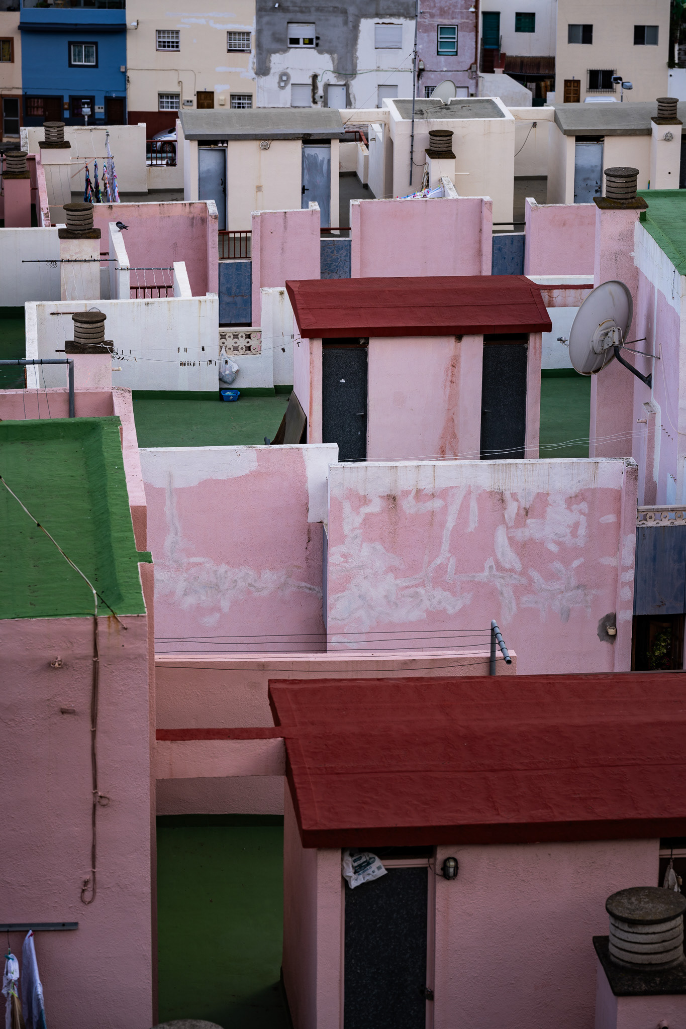 Maze-like rooftops