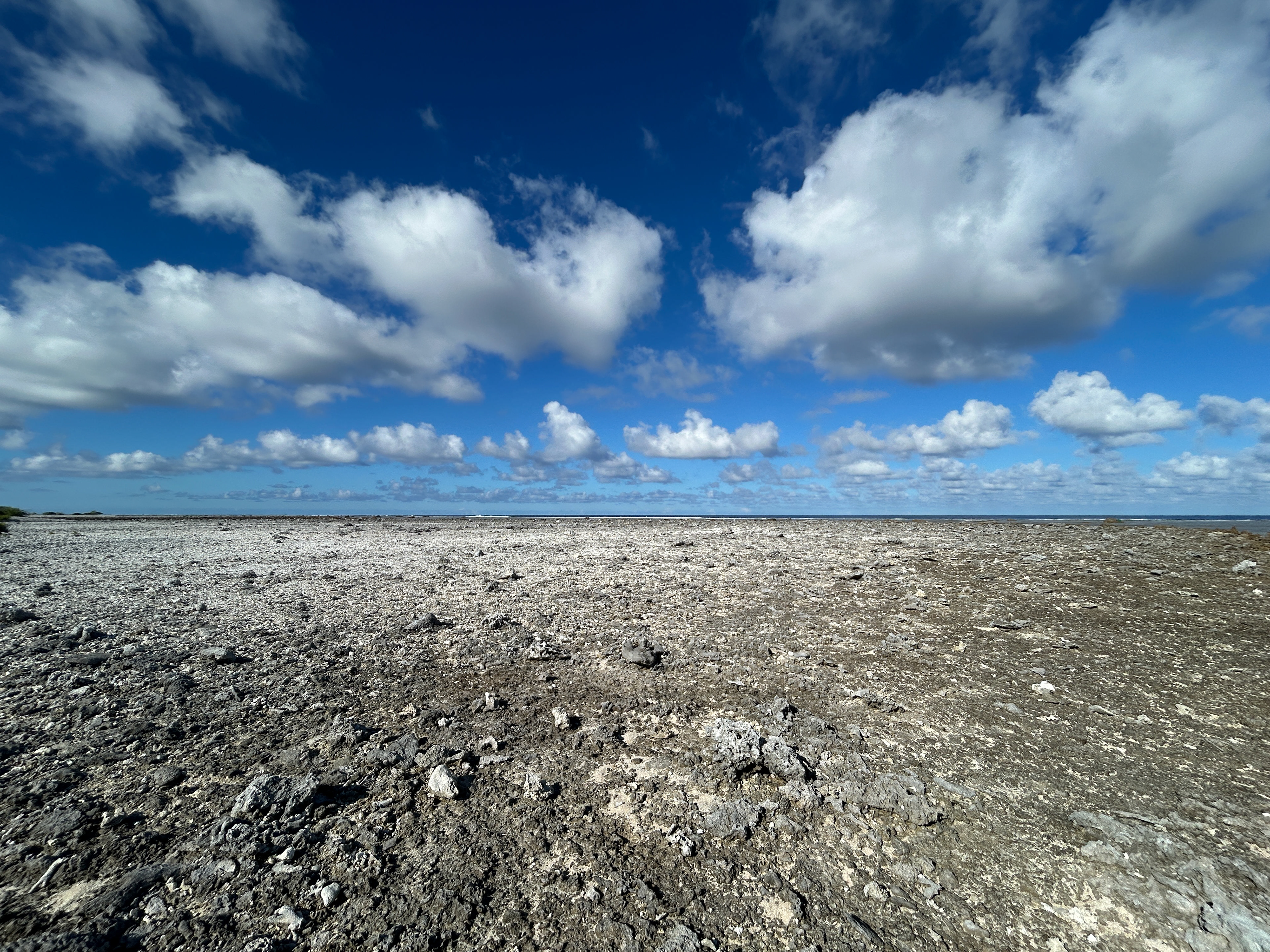 Looking at the barren coral landscape of a Tuamotu island
