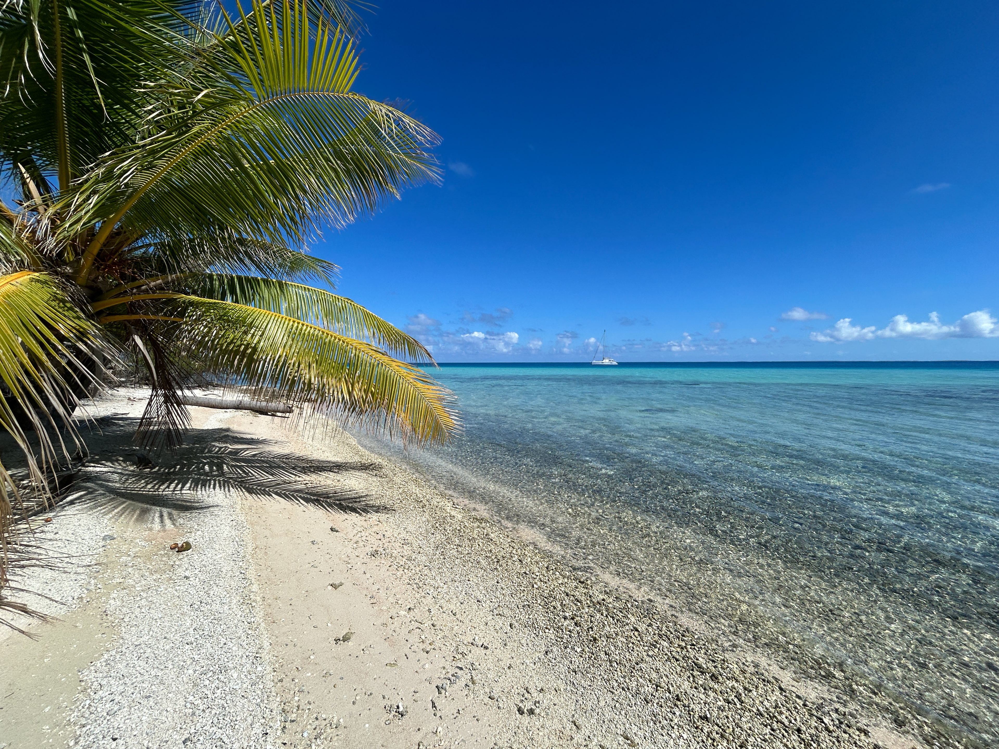 Turquoise clear water 