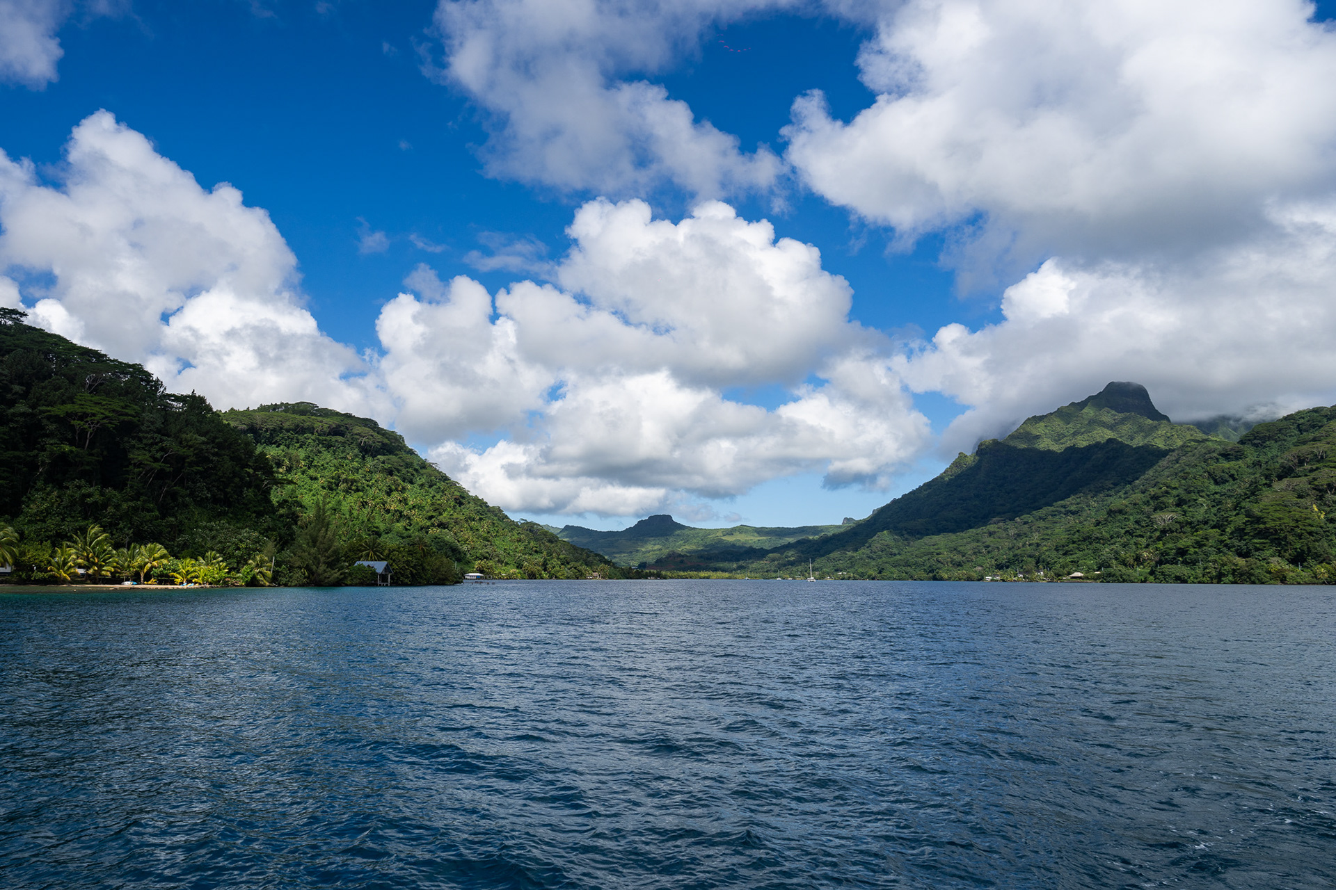 One of the many river gorges in Raiatea