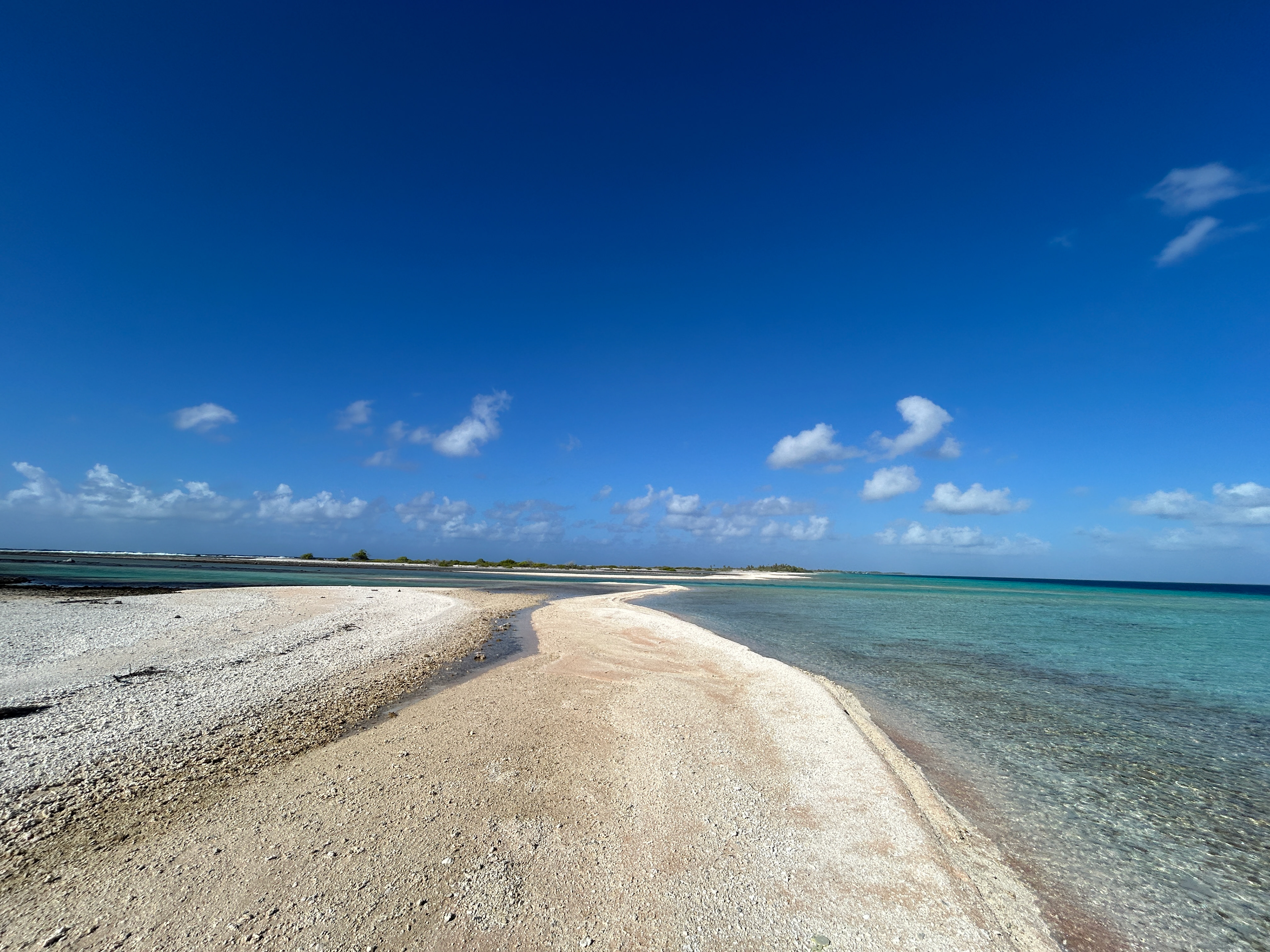 Enjoying some relaxing flats fishing