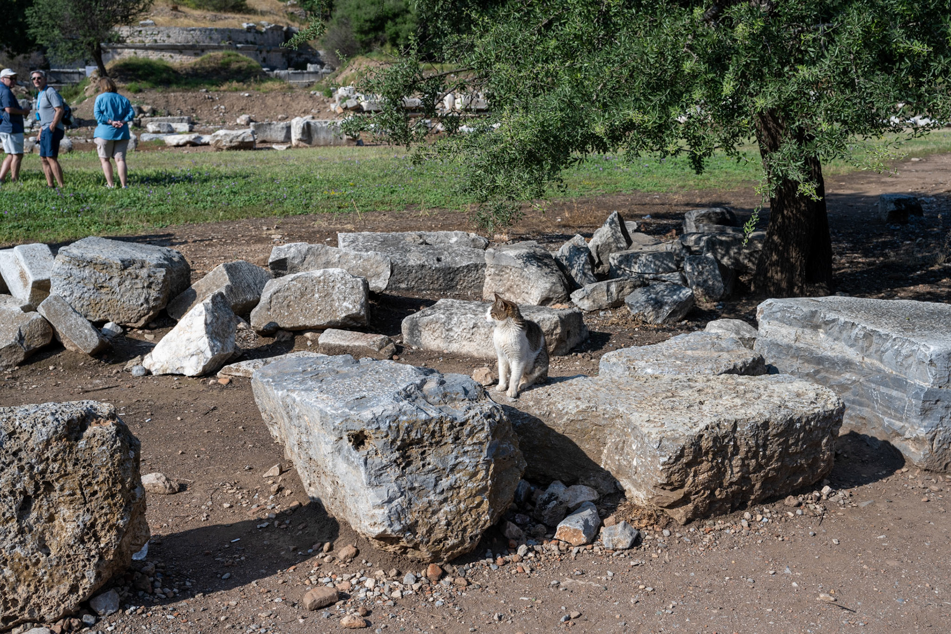 Ruins in Ephesus, Turkey