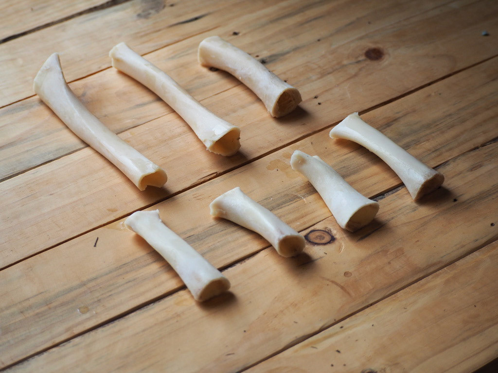 Bones cleaned ready for bisque firing 