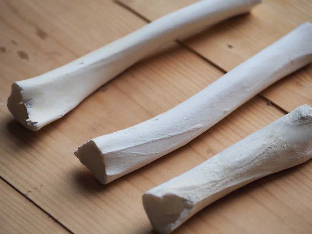 Calcified bones 