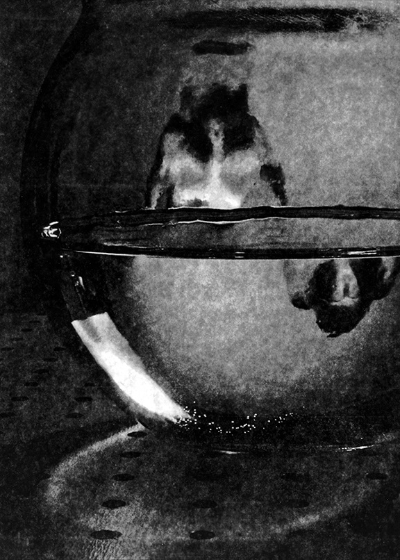 paper negative, 2017