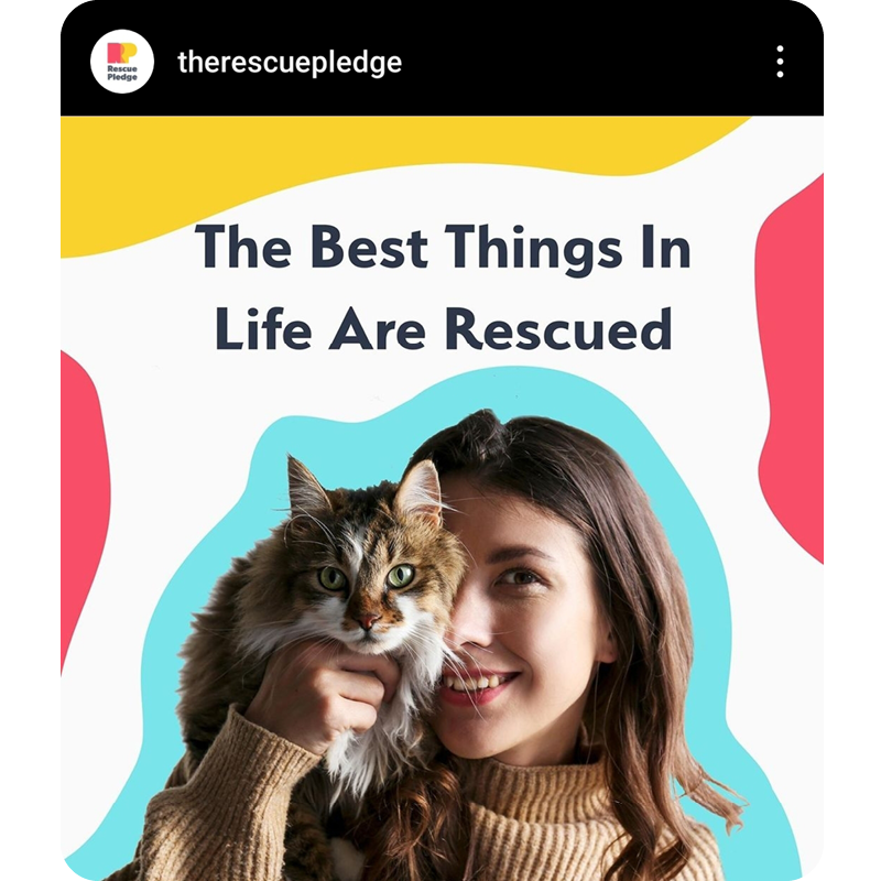 Previous Social Media Visual Style