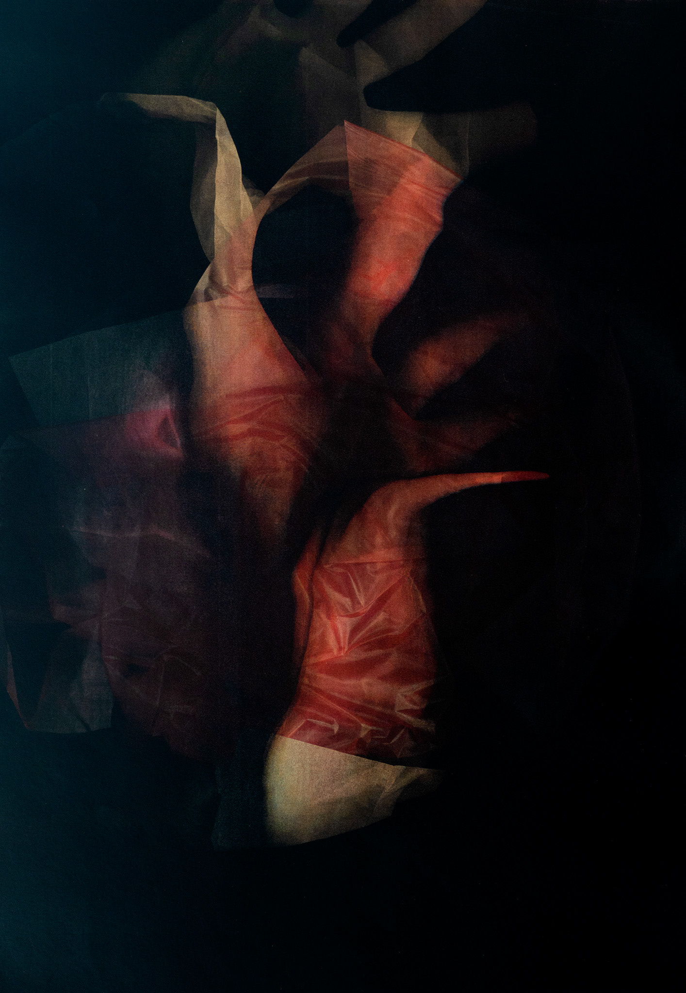 Fotografie, digital, 50 x 70, 2022