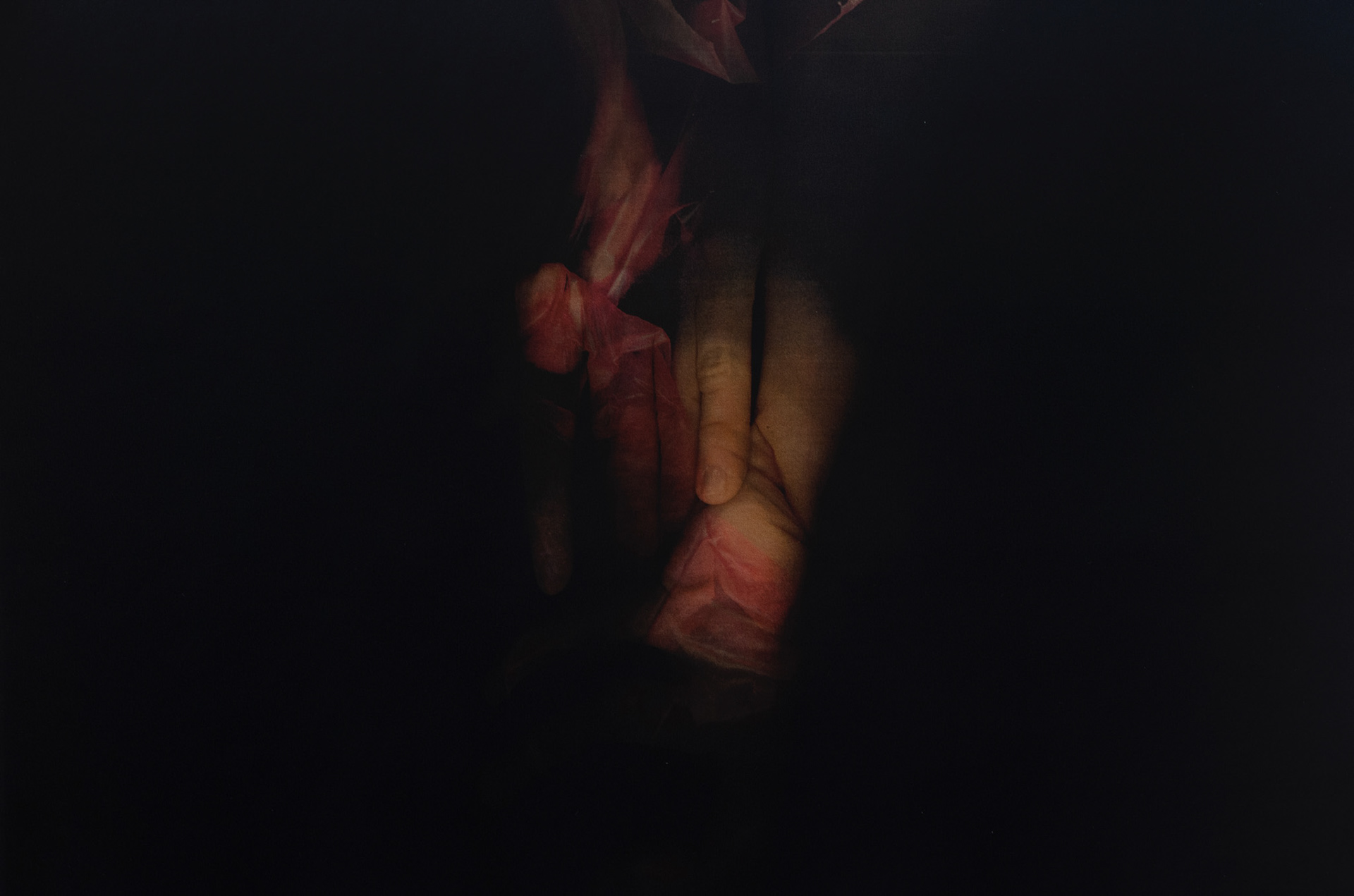 Fotografie, digital, 70 x 50, 2022