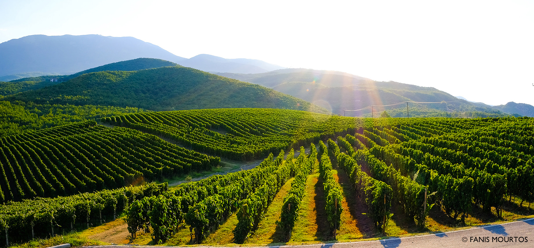 Ktima Kir-Yianni Naoussa