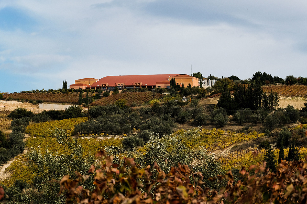 Semeli Winery