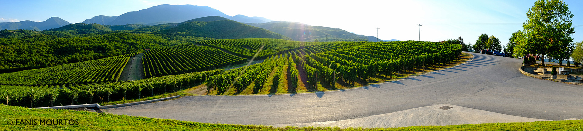 Ktima Kir-Yianni Naoussa