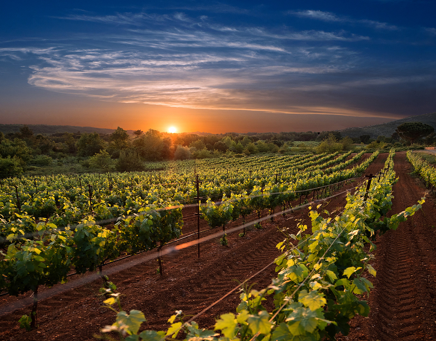 Ktima Tselepos Mantinia